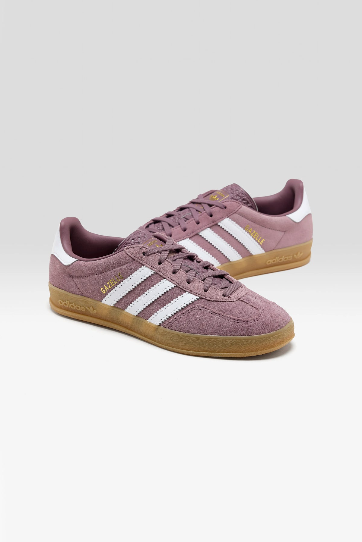 Gazelle Indoor pour Femme (251 / W / BROWN)
