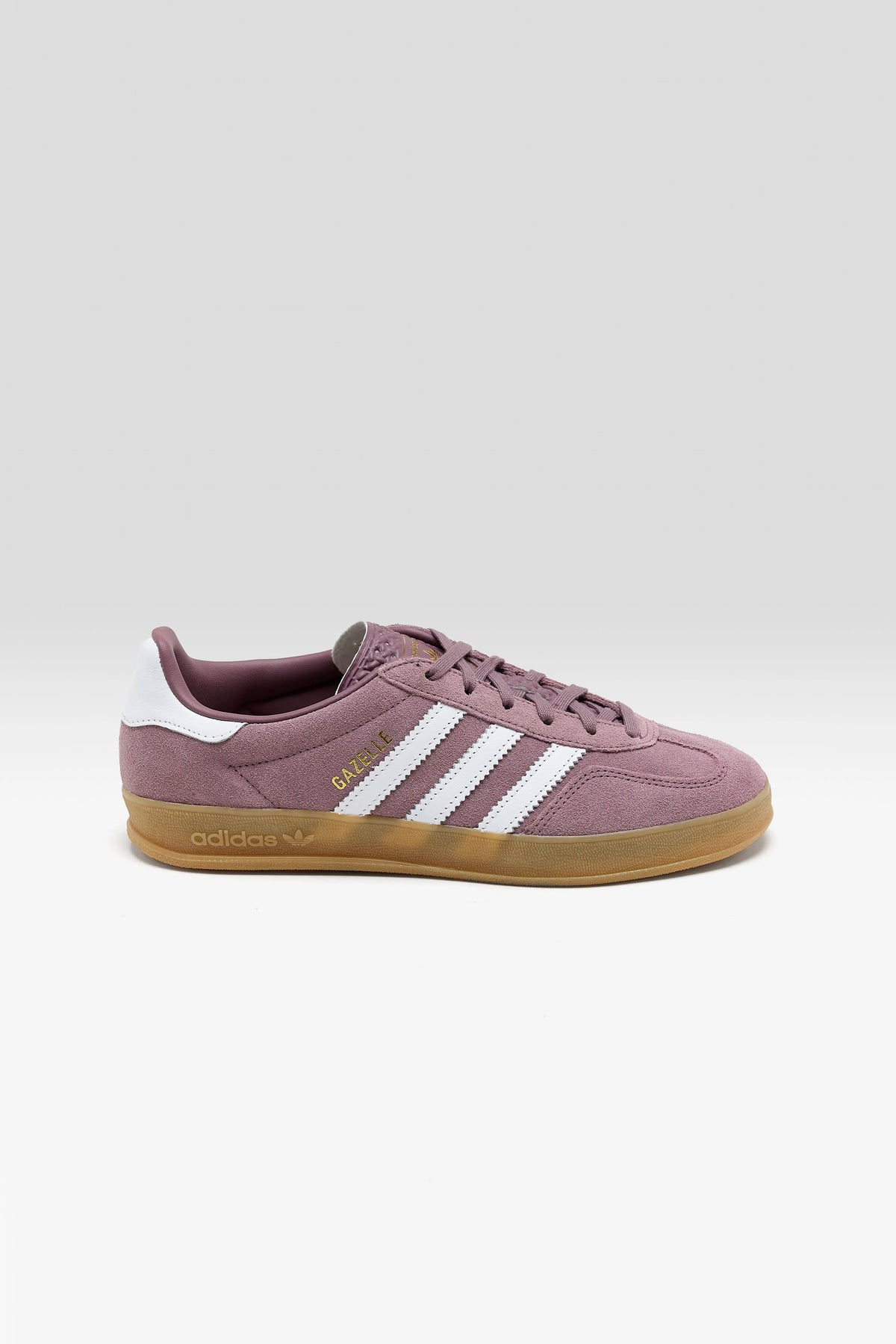 Gazelle Indoor Pour Femme Pour Femme | Bellerose