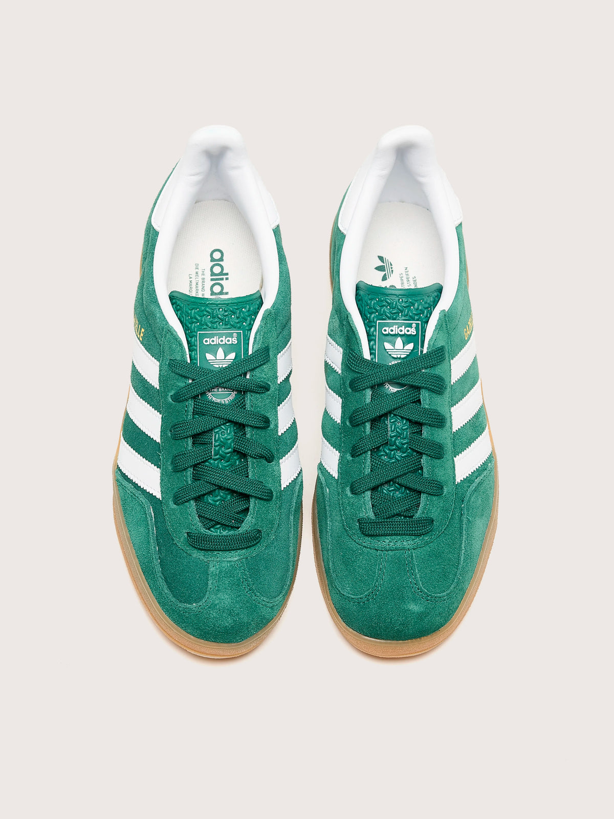 Gazelle Indoor pour Femme (242 / W / GREEN)