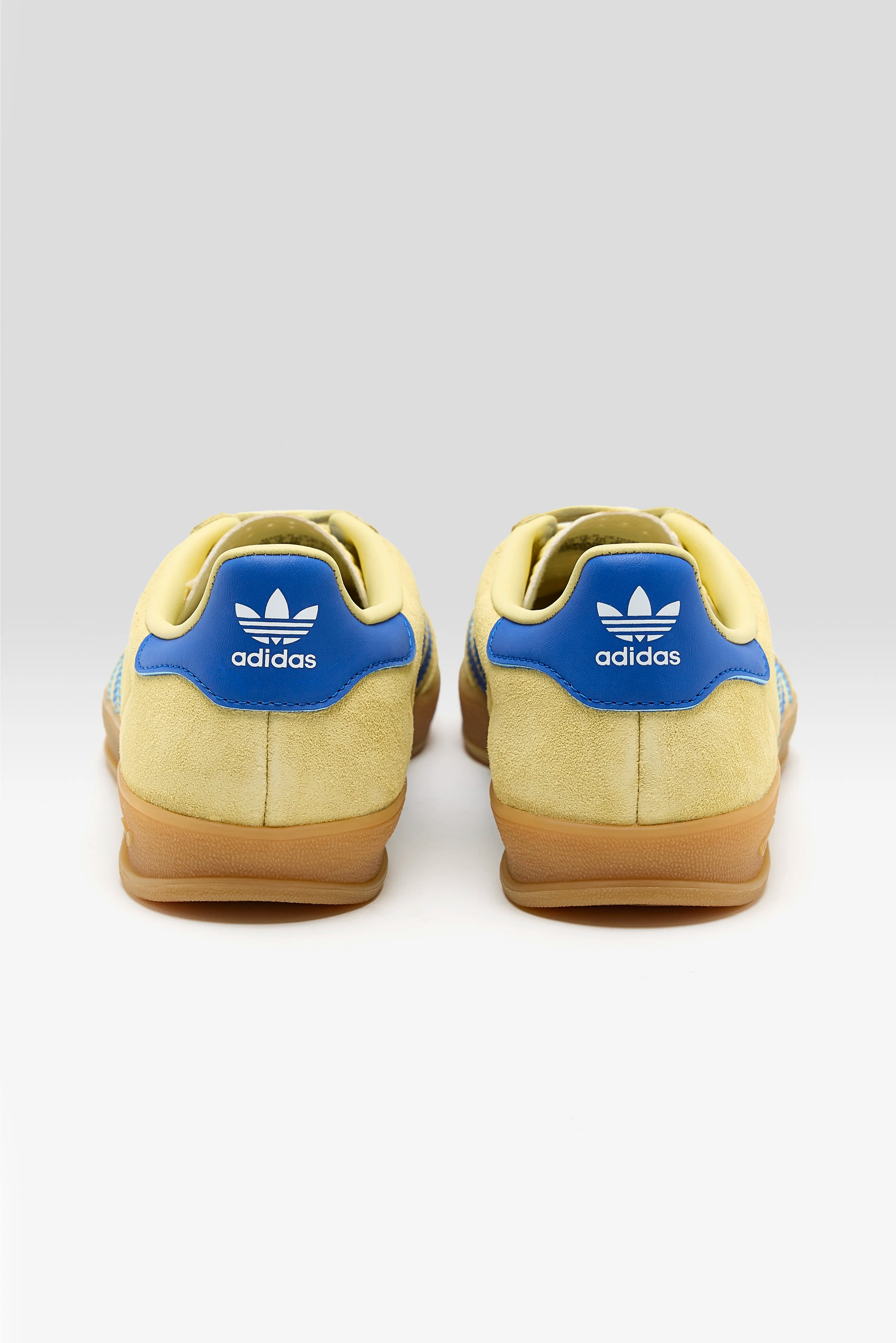 Gazelle Indoor voor dames (251 / W / YELLOW)