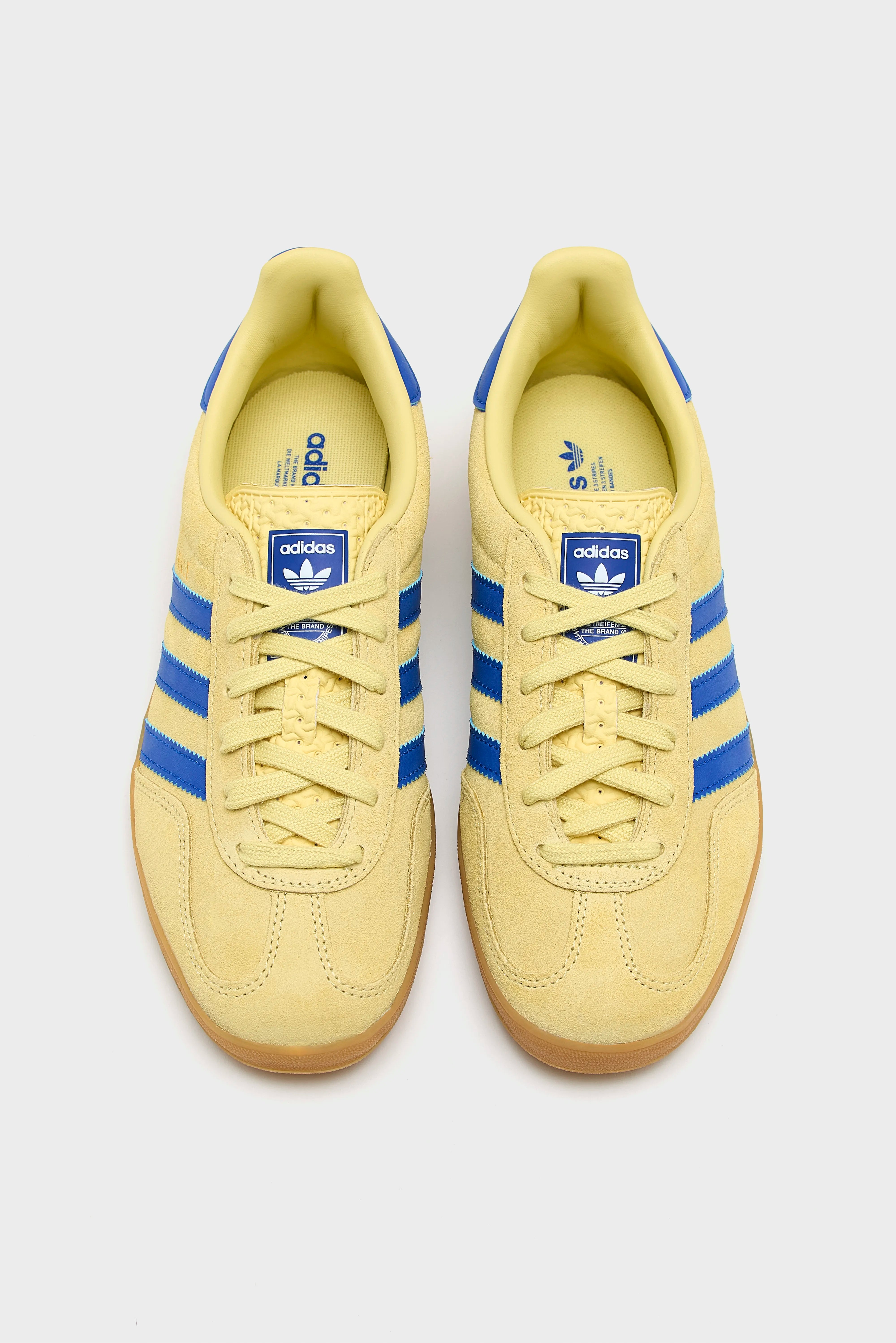 Gazelle Indoor voor dames (251 / W / YELLOW)