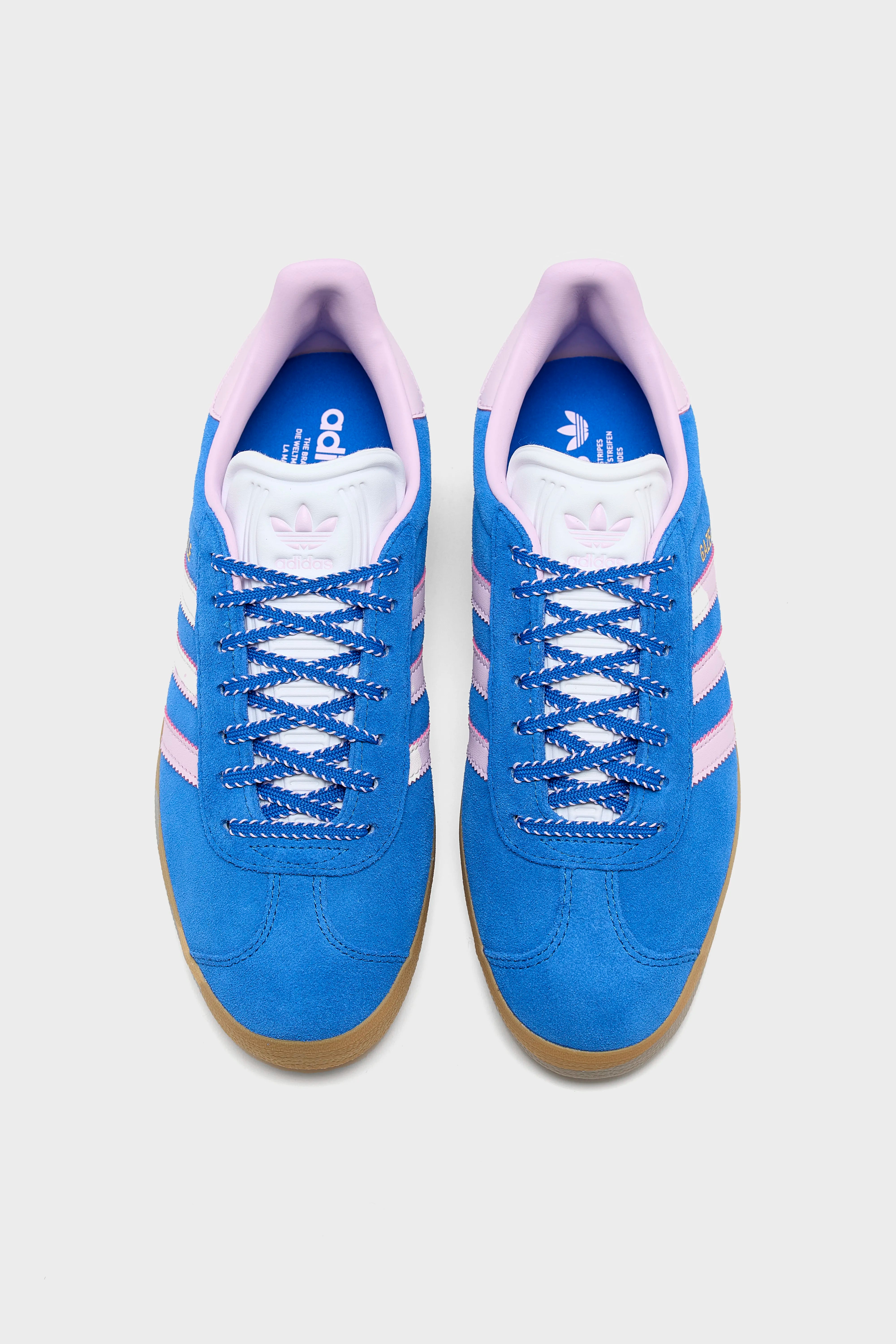 Gazelle pour Femmes (251 / W / BLUE)
