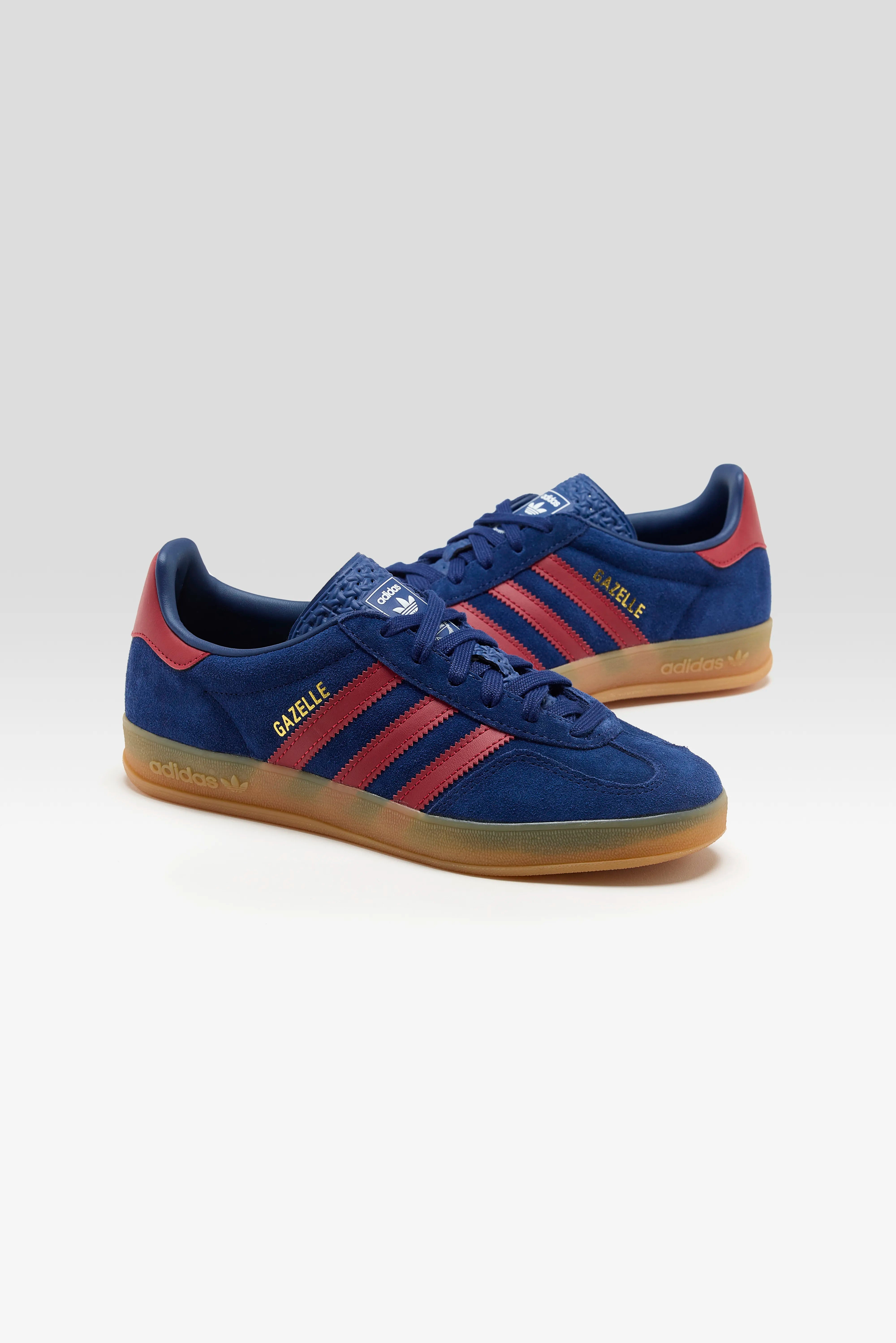 Gazelle Indoor voor Juniors (252 / G / BLUE)