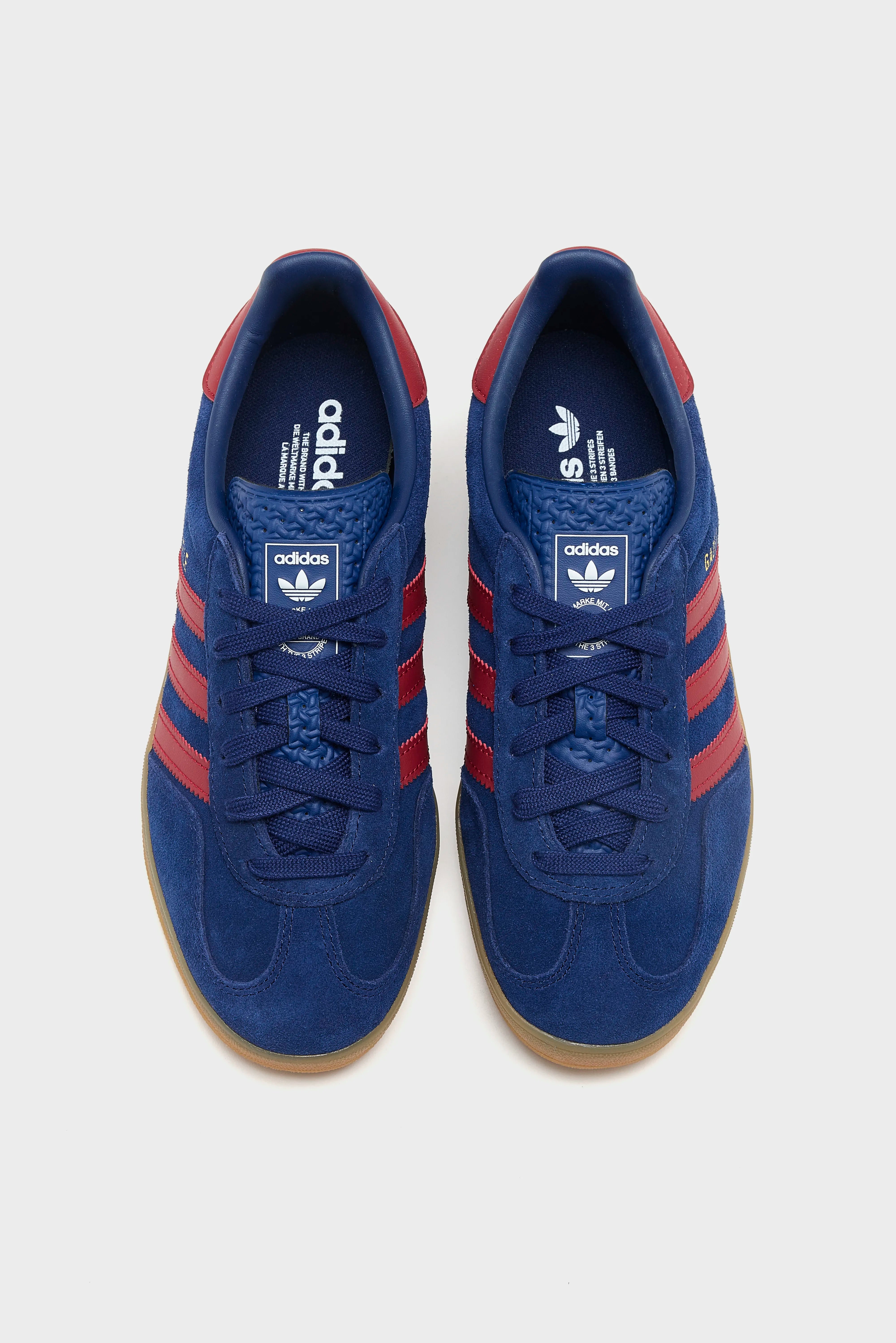 Gazelle Indoor voor Juniors (252 / G / BLUE)