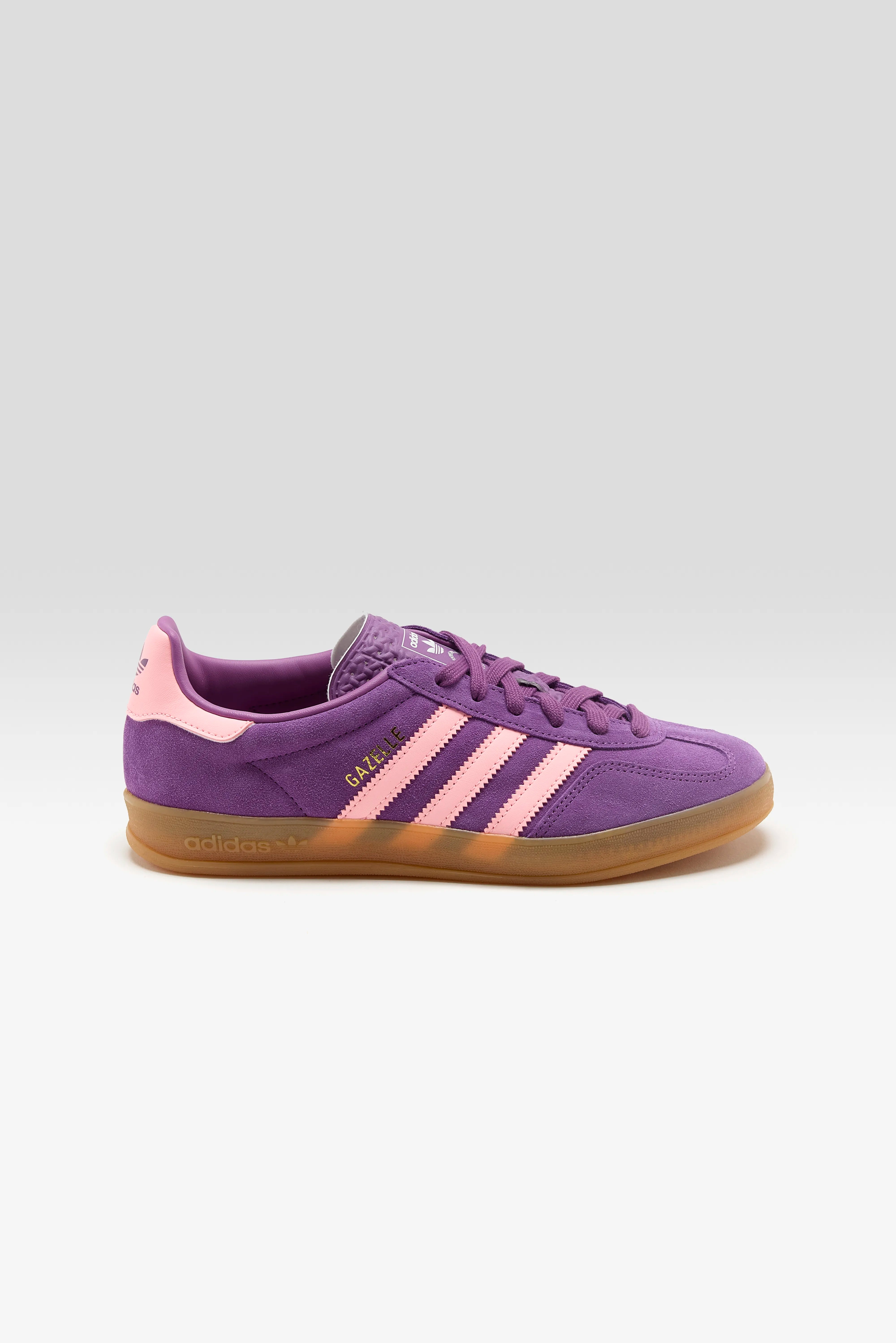 Gazelle Indoor voor Juniors (252 / G / PURPLE)