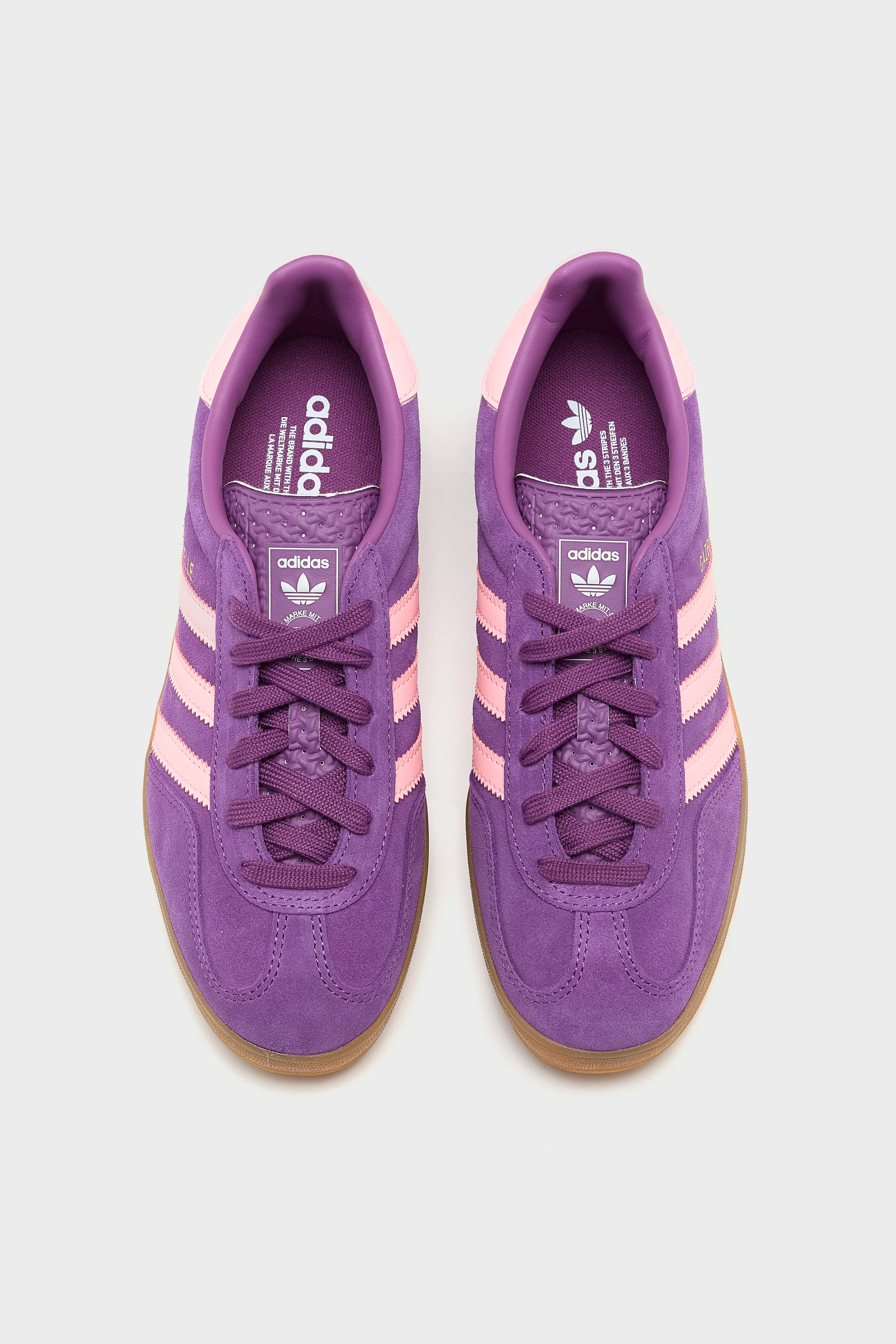 Gazelle Indoor voor Juniors (252 / G / PURPLE)