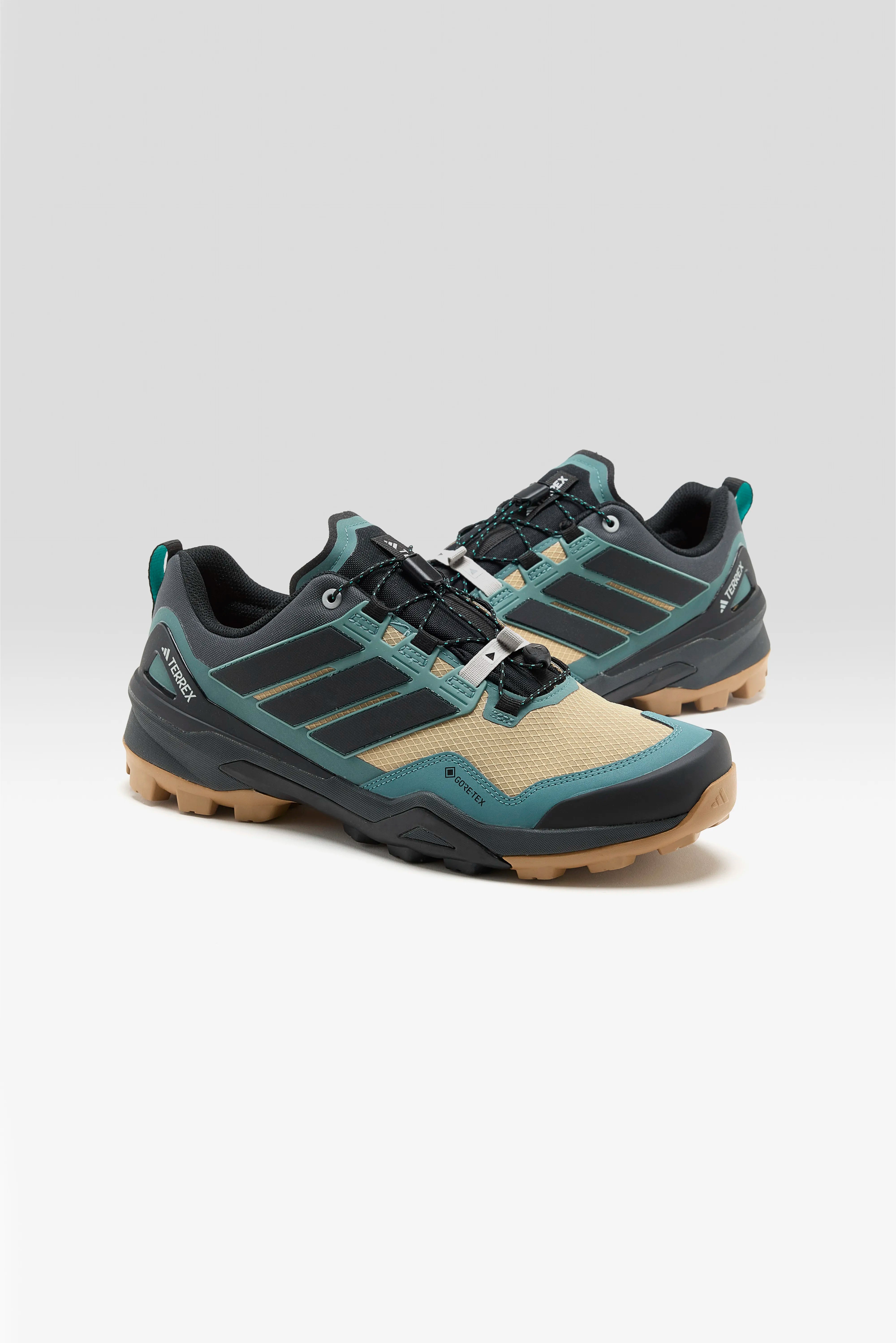 Terrex Skychaser Gore-Tex for Men (252 / M / BROWN)