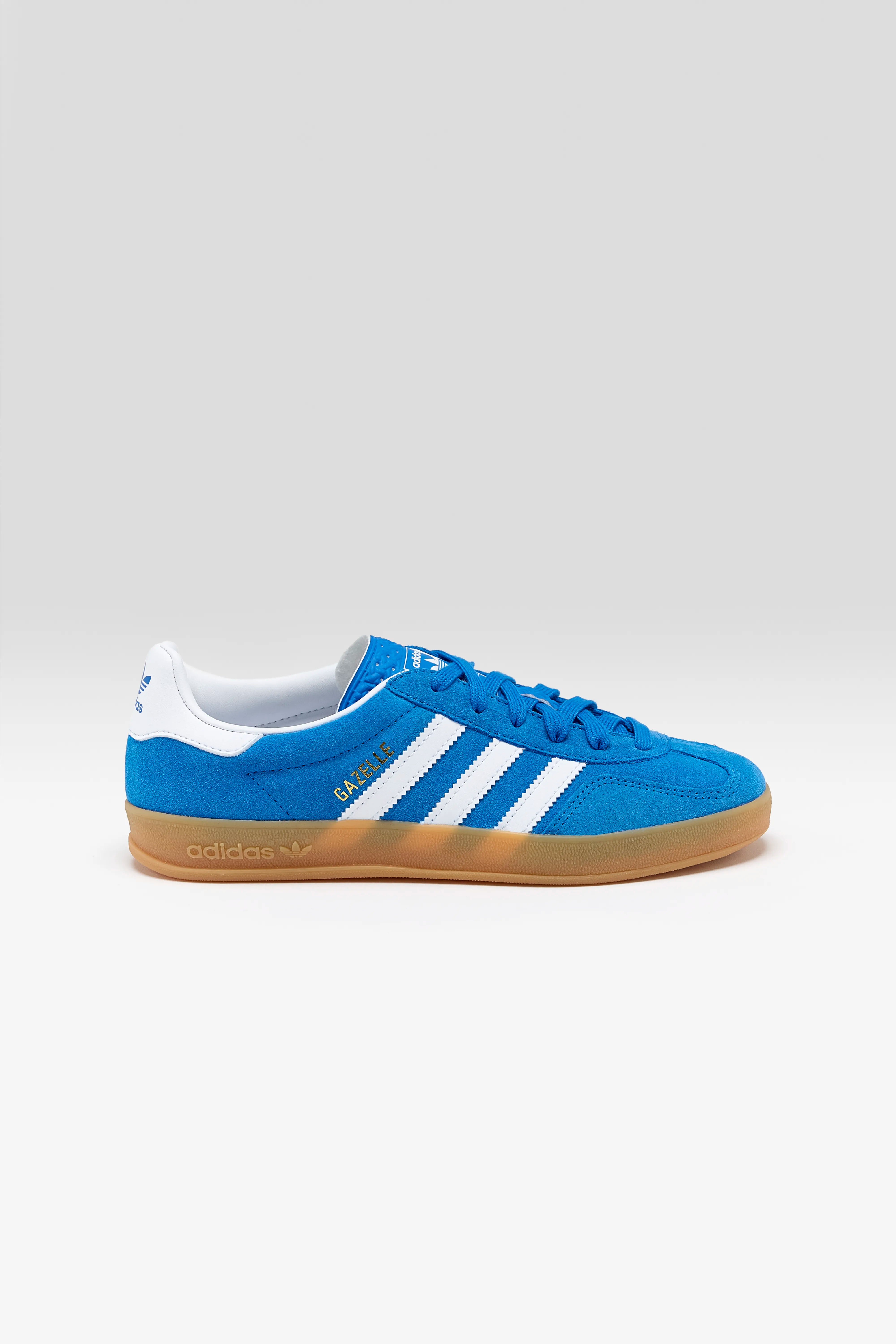 Gazelle Indoor voor Juniors (252 / G / BLUE)