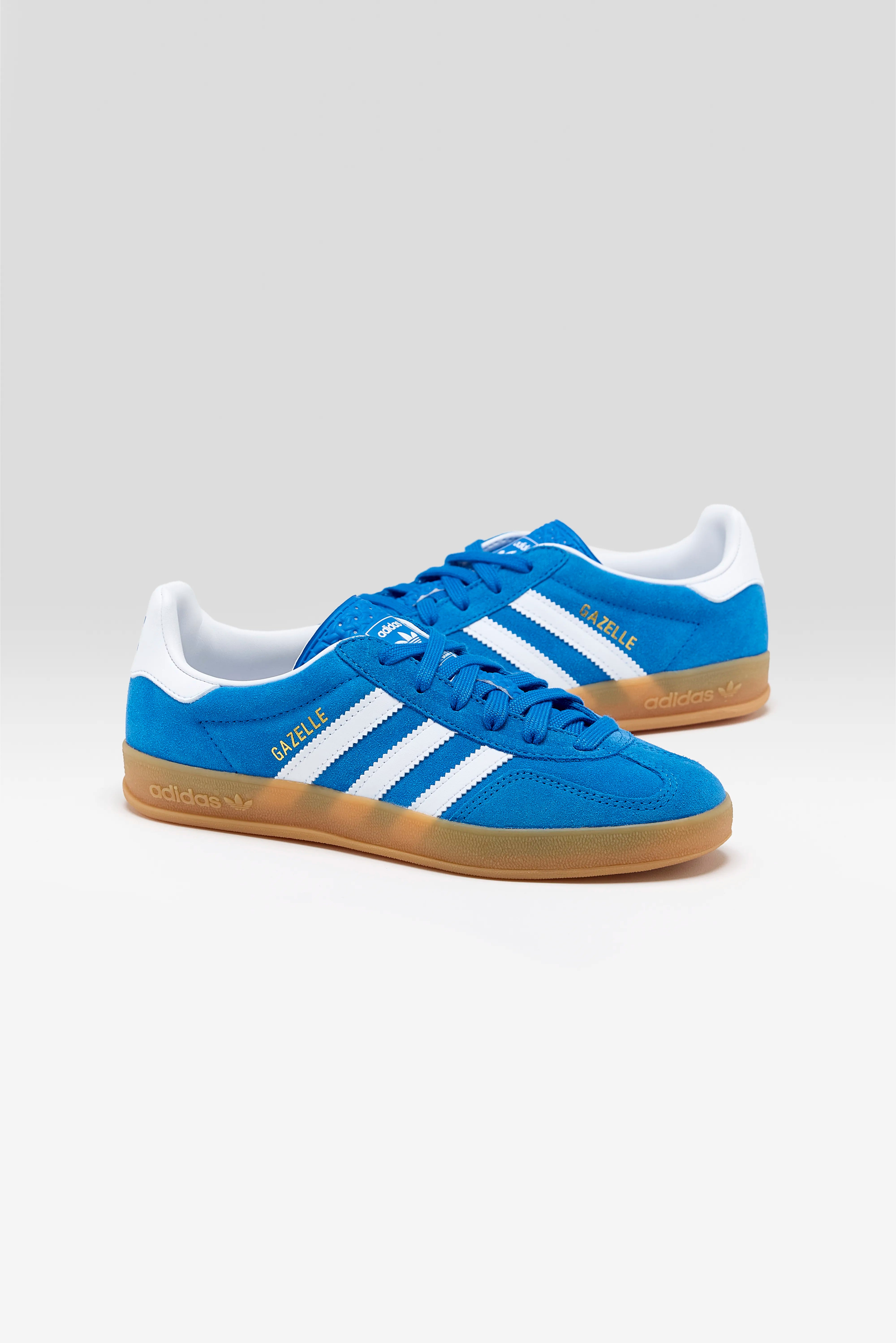 Gazelle Indoor voor Juniors (252 / G / BLUE)
