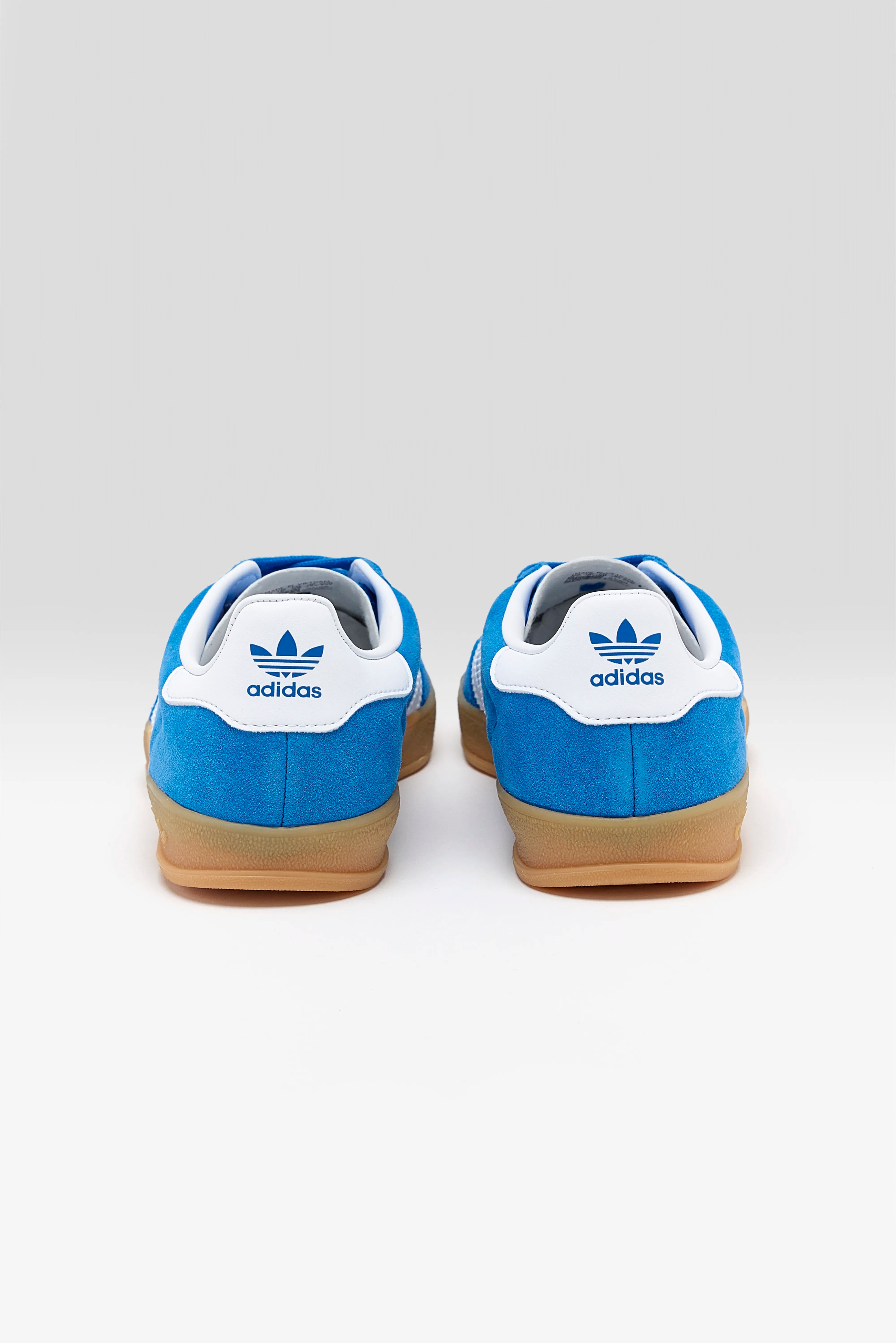 Gazelle Indoor voor Juniors (252 / G / BLUE)