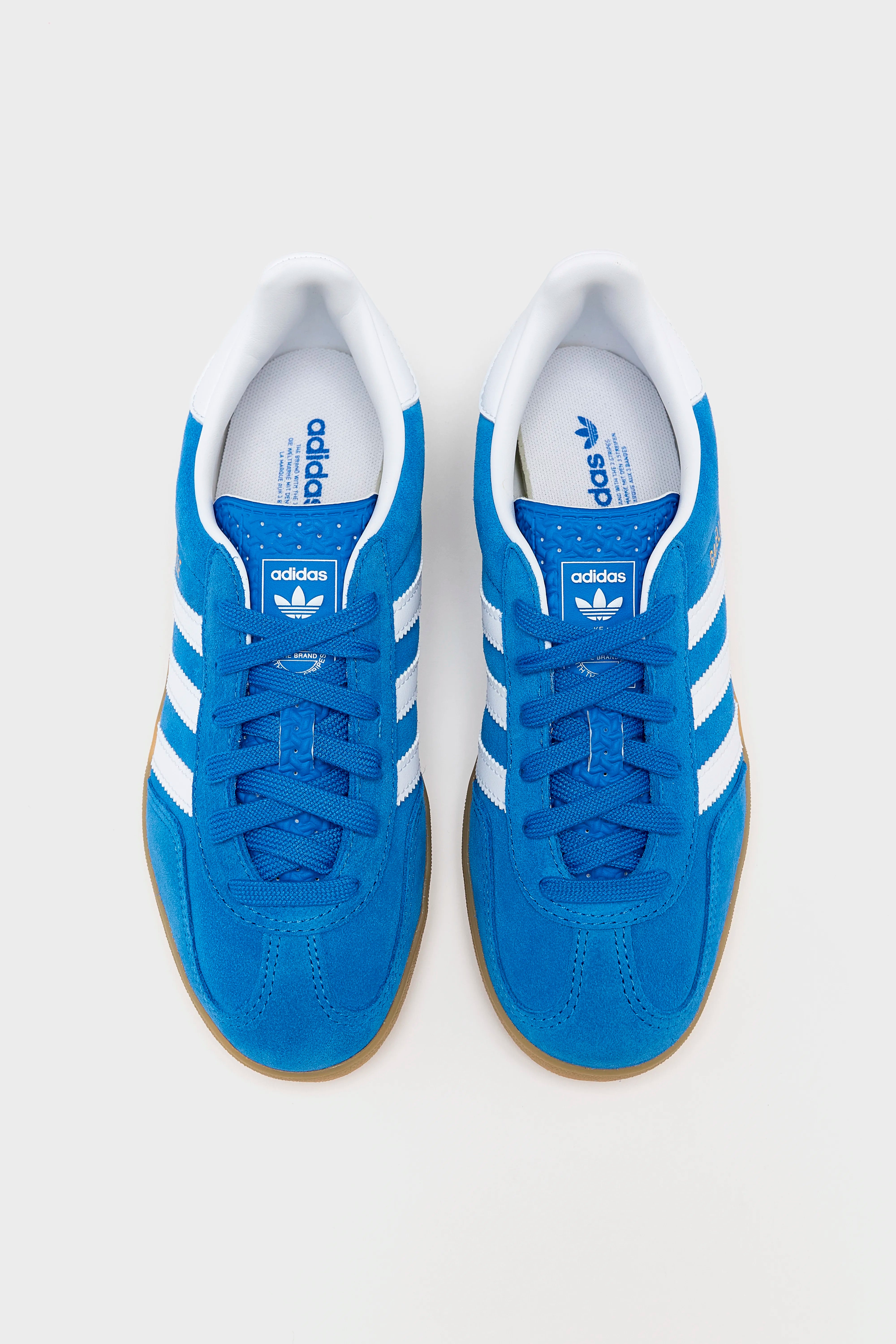 Gazelle Indoor voor Juniors (252 / G / BLUE)