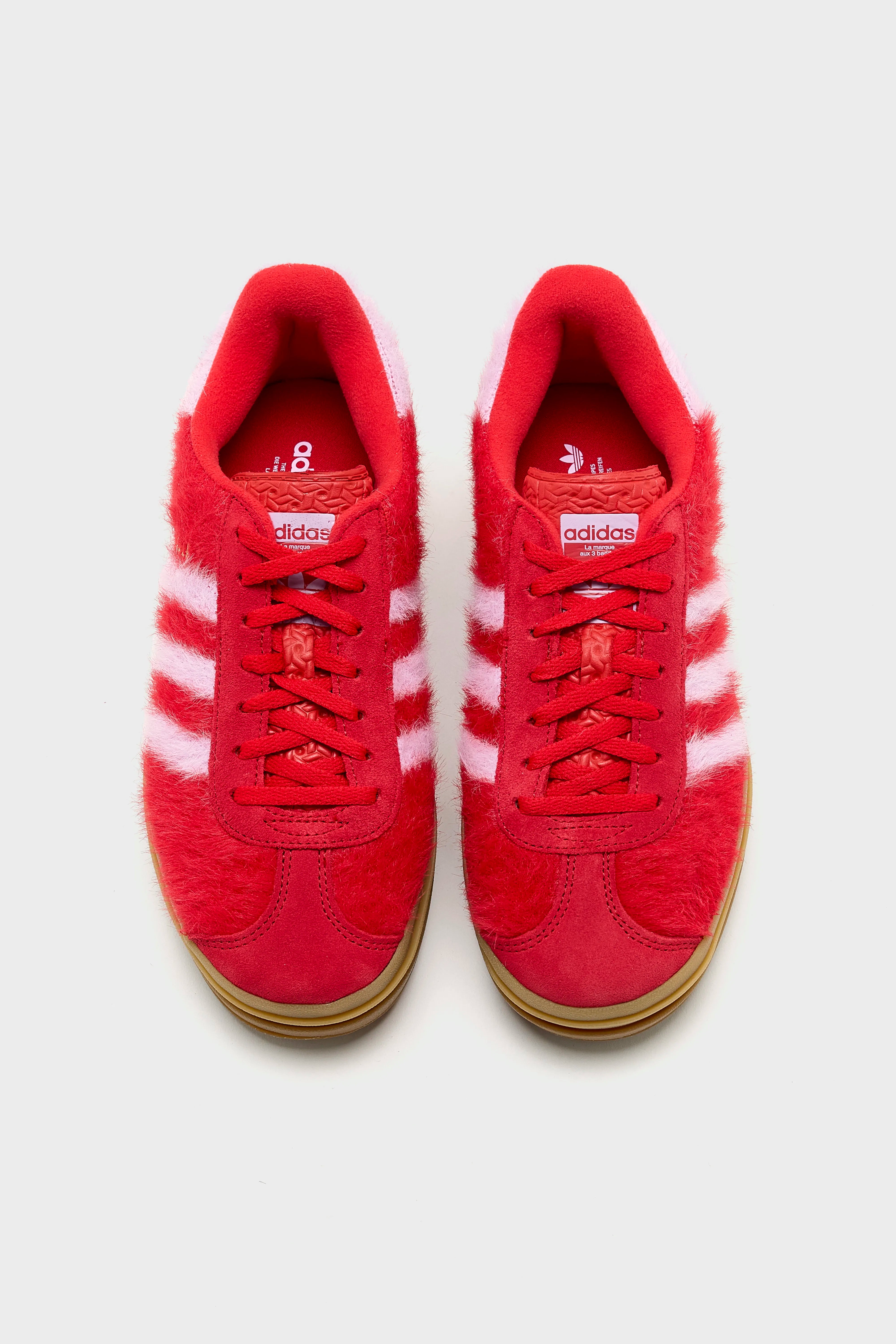 Gazelle Bold for Women  (252 / W / RED)