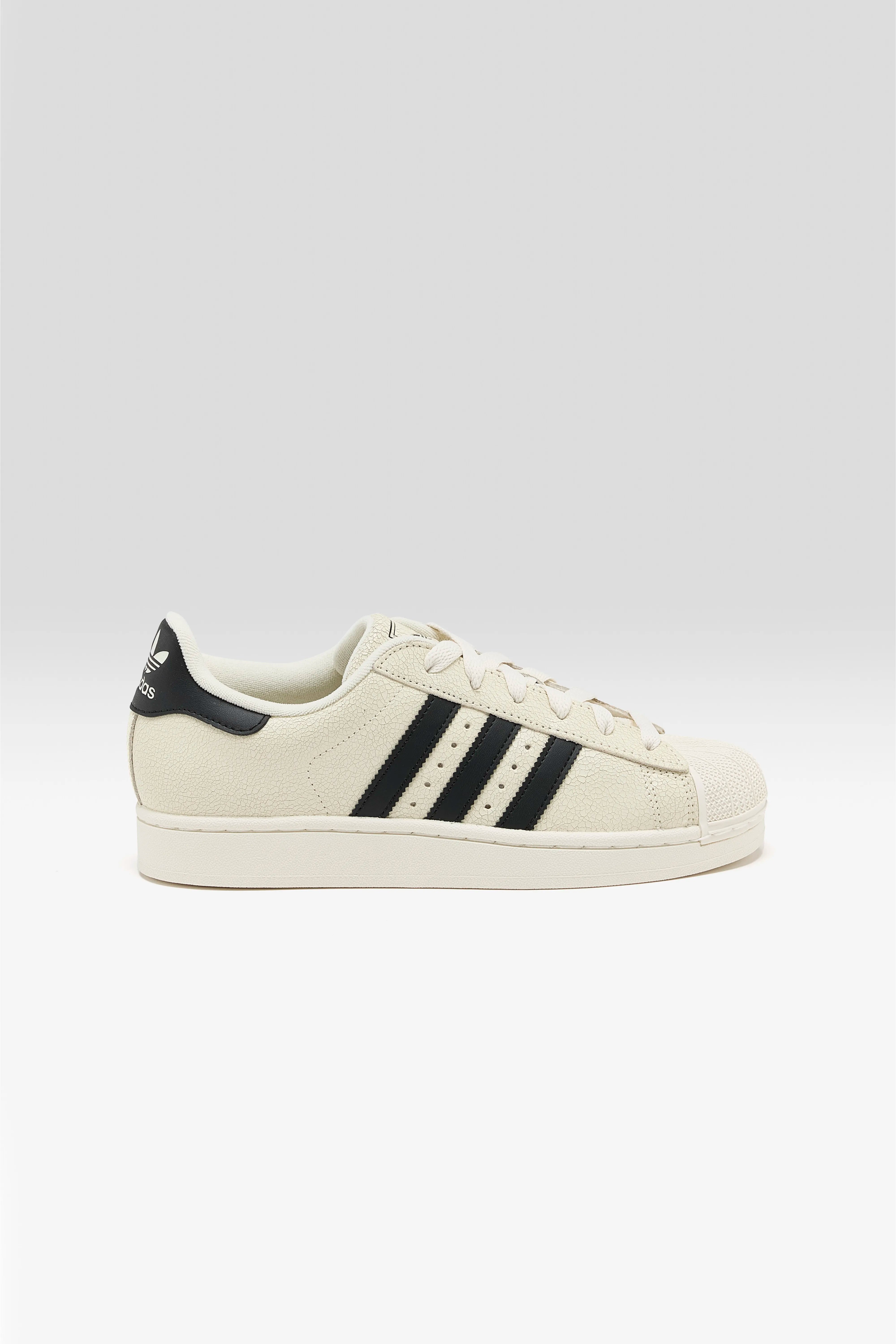 Superstar II for Women  (252 / W / WHITE)