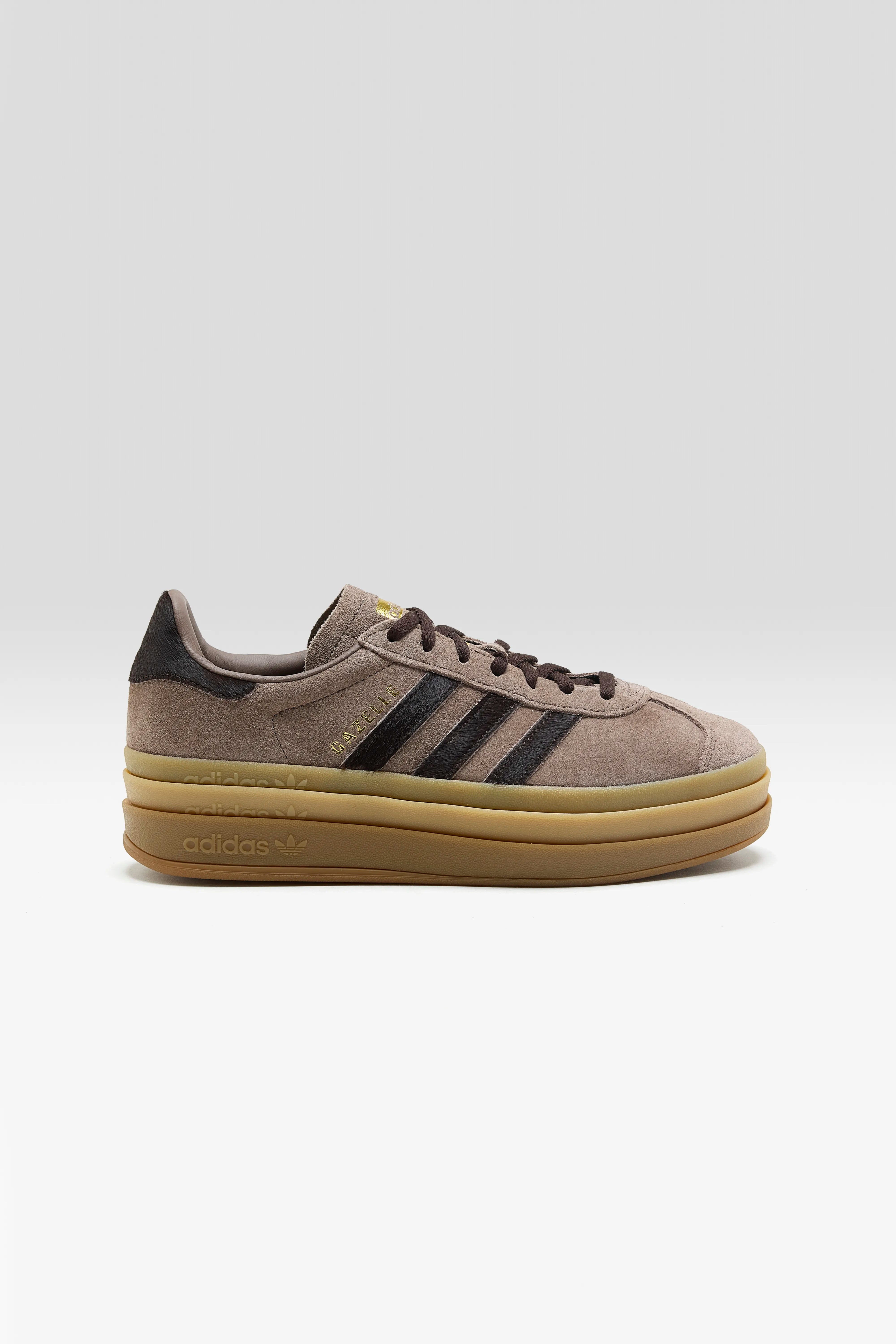 Gazelle Bold pour Femme (261 / W / COFFEE)