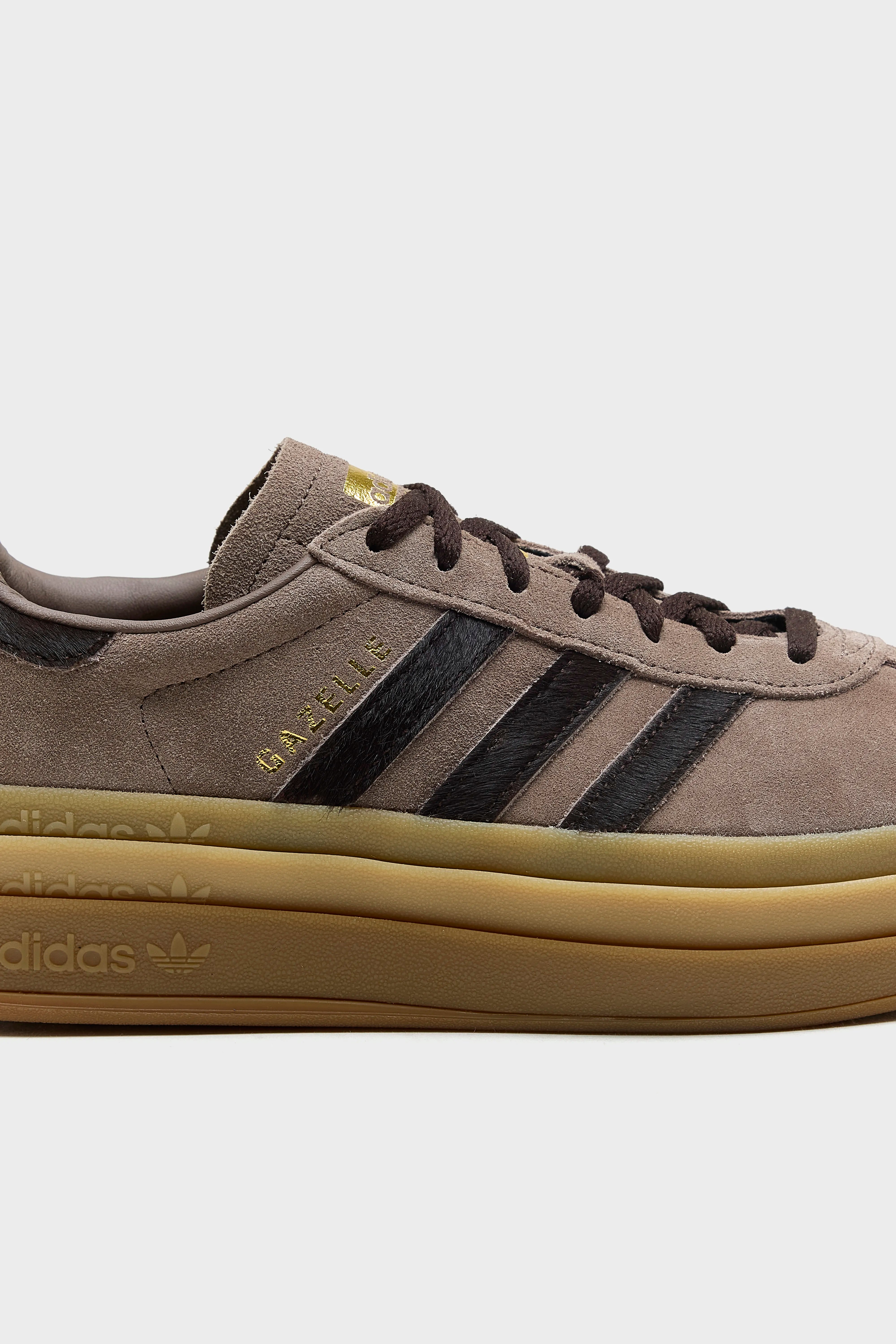 Gazelle Bold pour Femme (261 / W / COFFEE)
