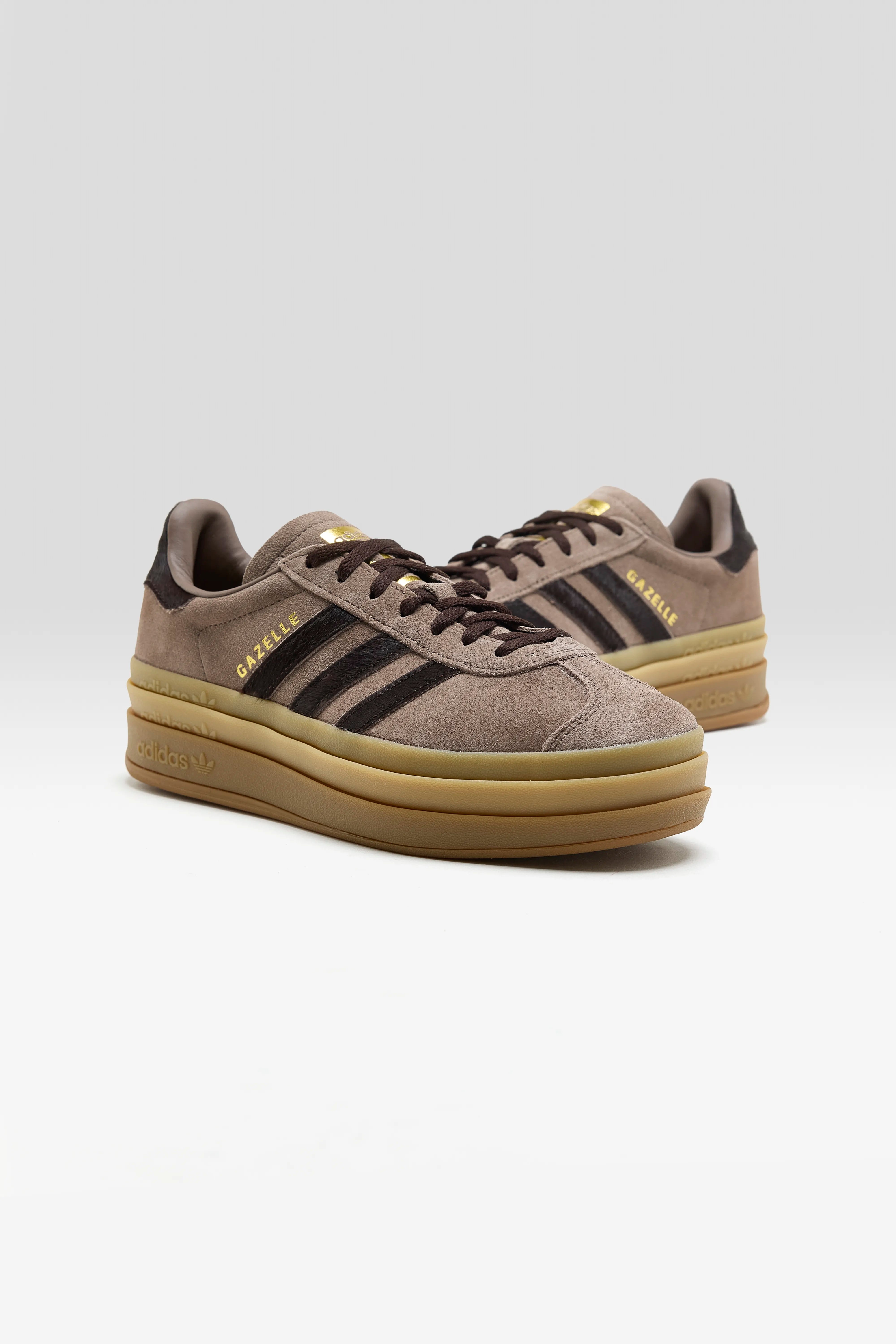 Gazelle Bold pour Femme (261 / W / COFFEE)