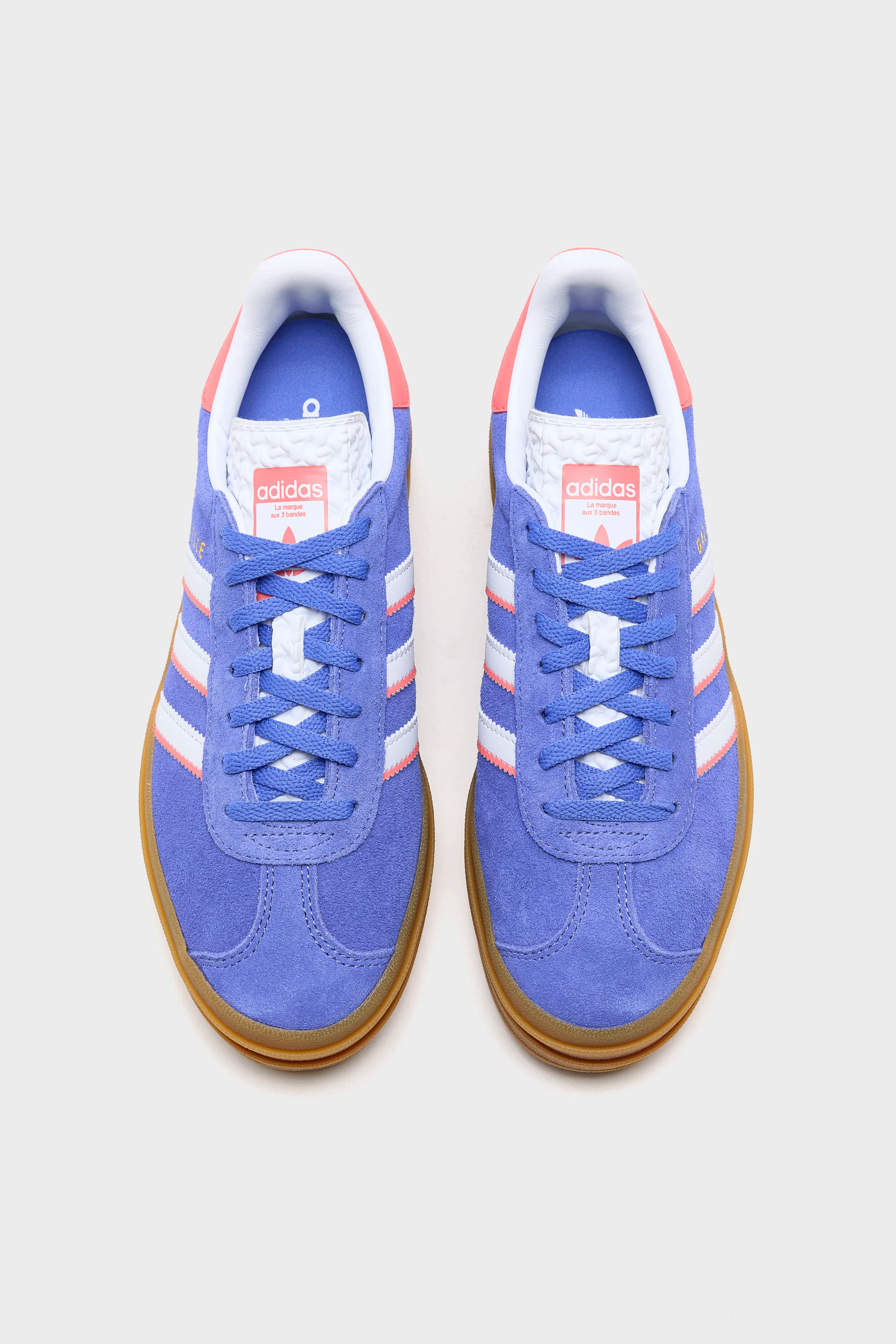 Gazelle Bold for Juniors (261 / G / BLUE)