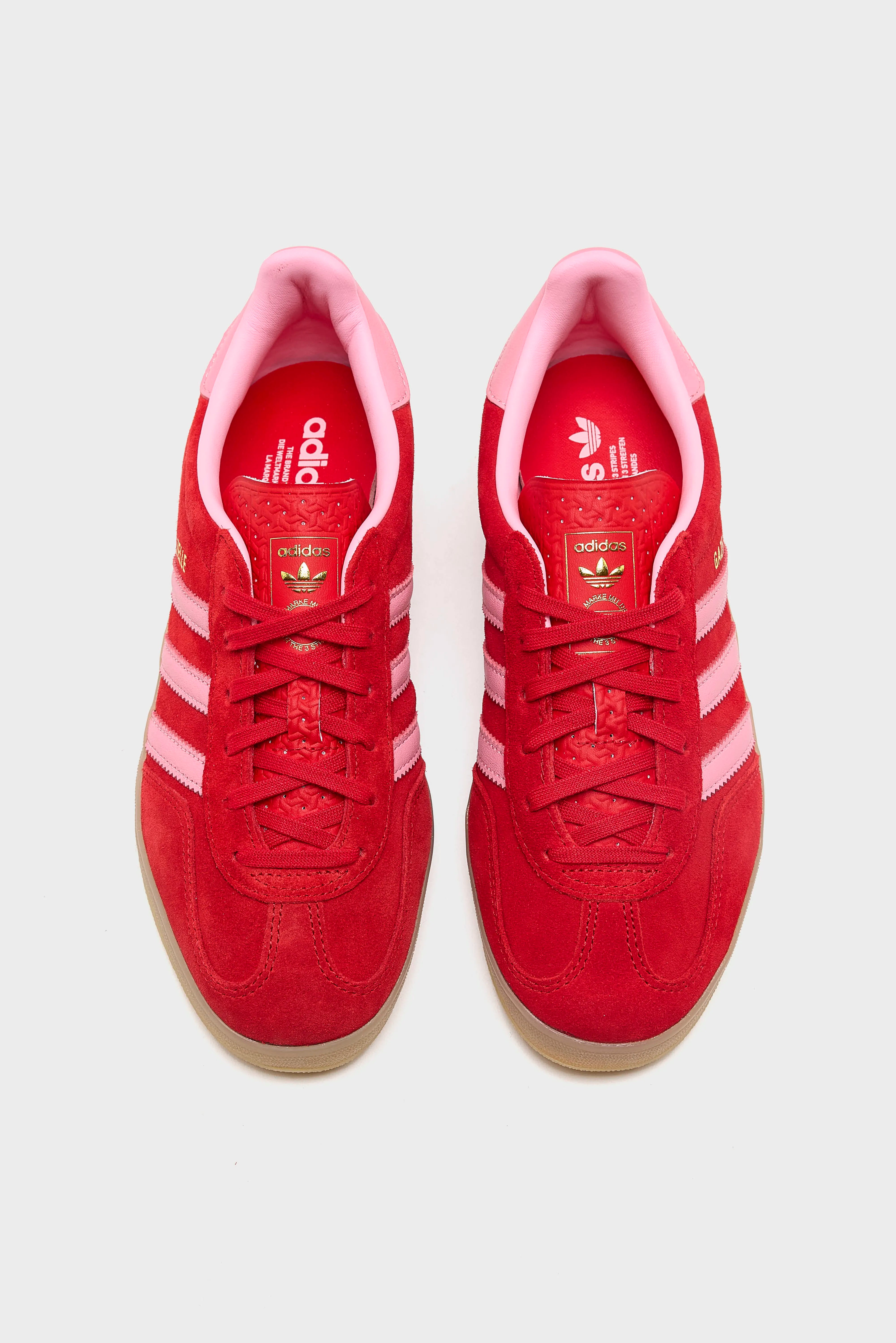 Gazelle Indoor for Women (261 / W / RED)