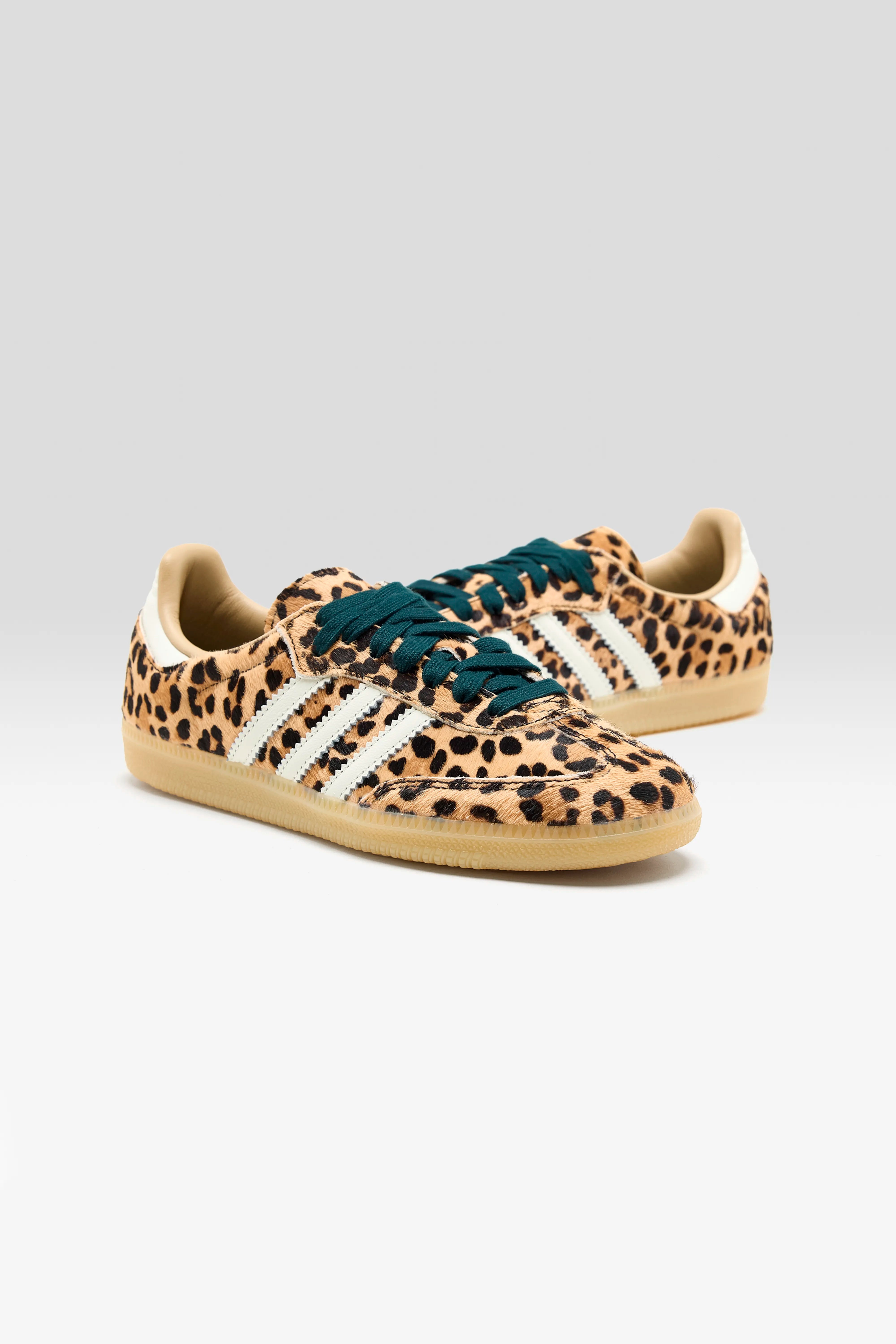 Samba OG voor Dames (261 / W / BROWN)