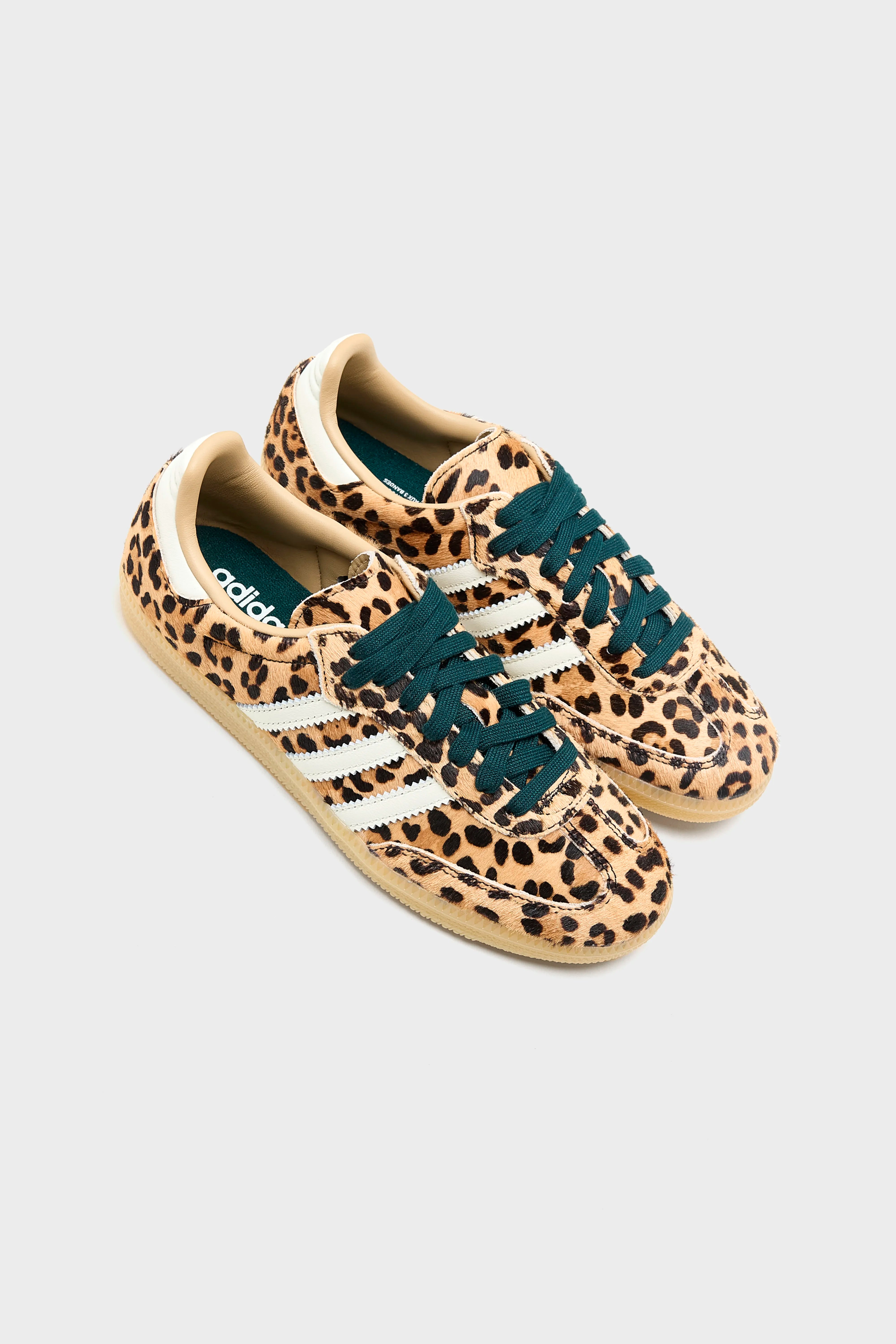 Samba OG voor Dames (261 / W / BROWN)