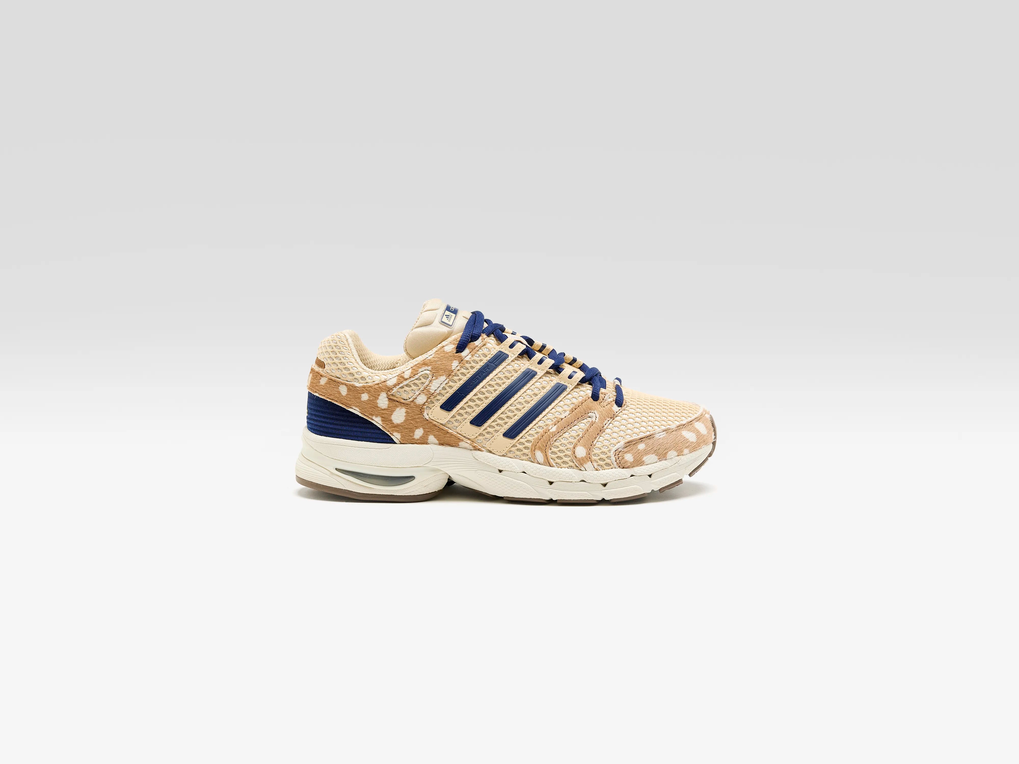 Adistar Control 5 for Women (262 / W / BROWN)