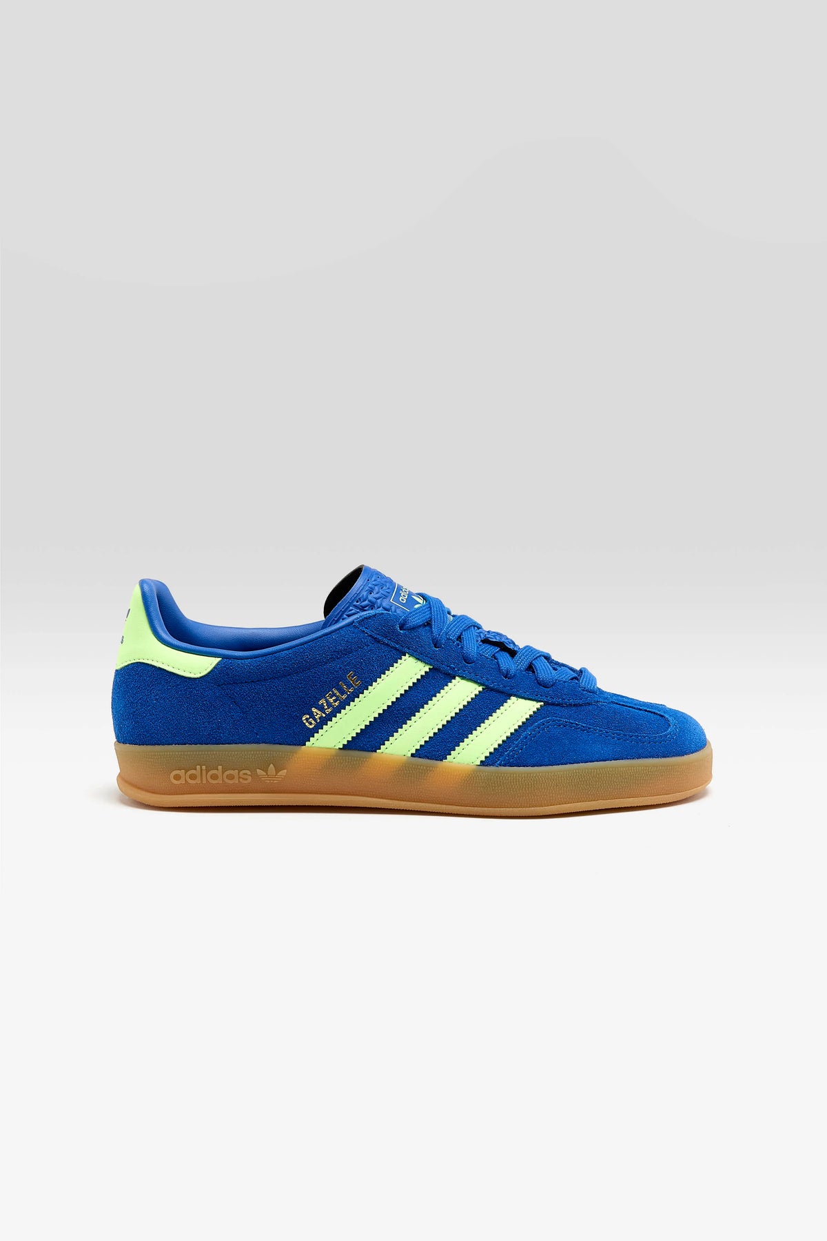 Gazelle Indoor for Juniors (262 / B / BLUE)