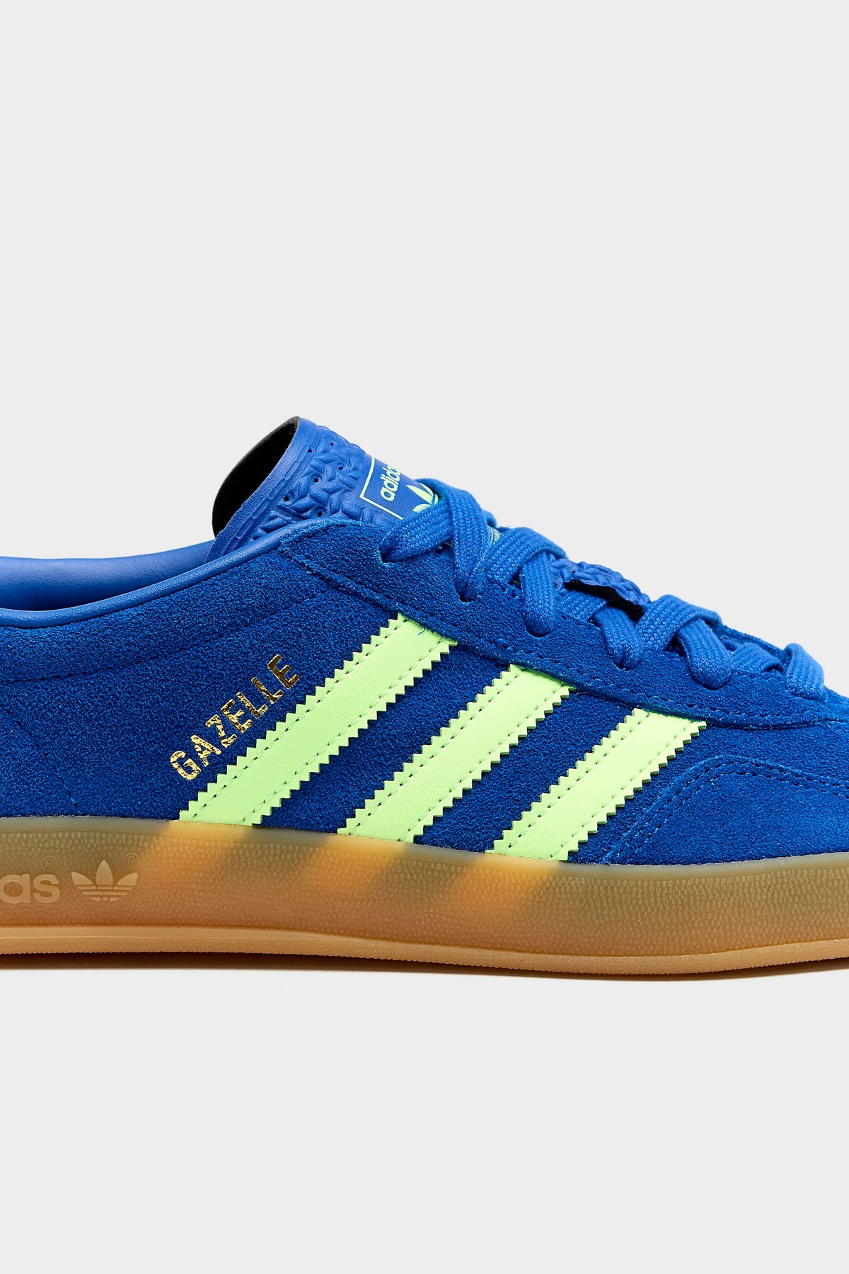 Gazelle Indoor for Juniors (262 / B / BLUE)