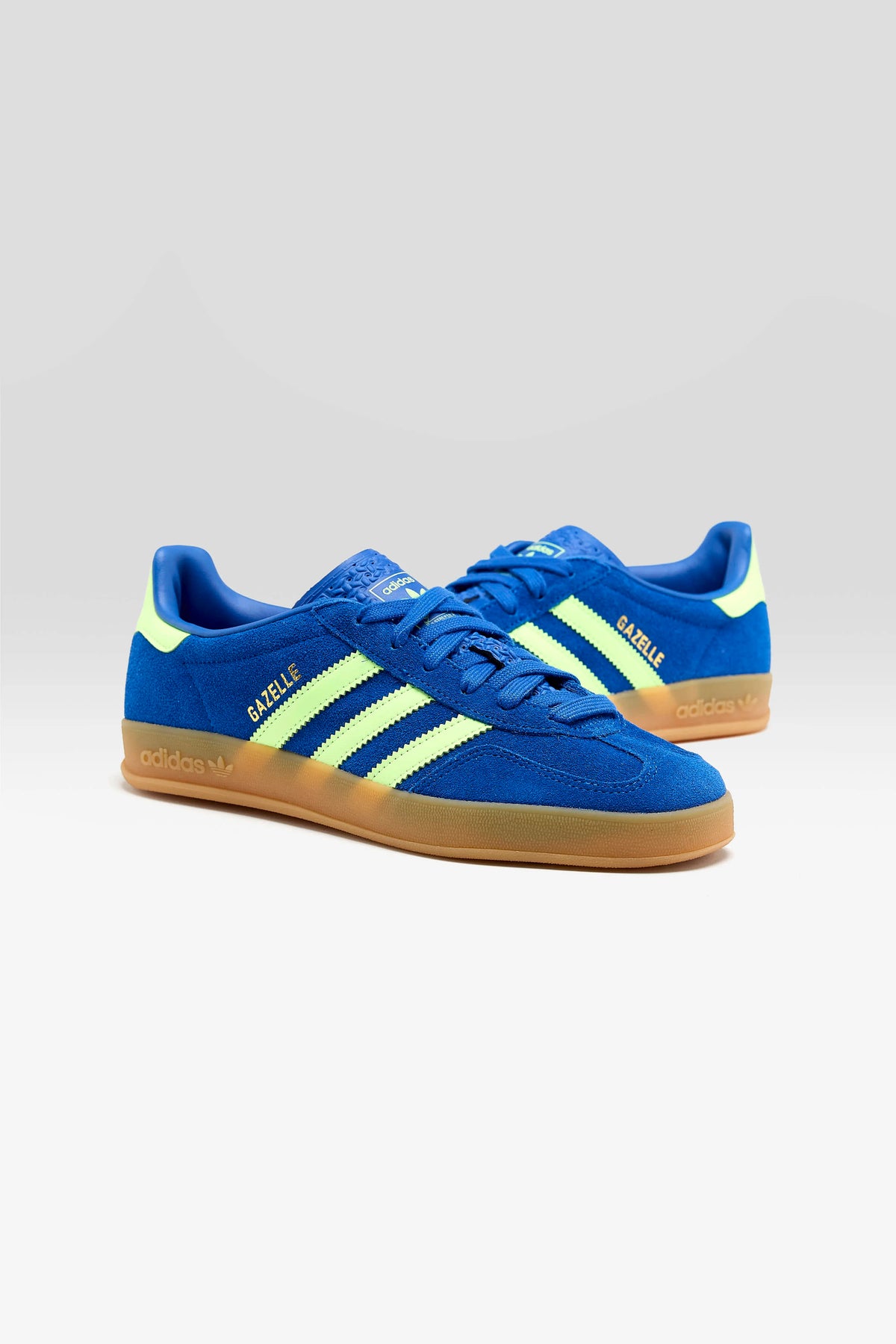 Gazelle Indoor for Juniors (262 / B / BLUE)