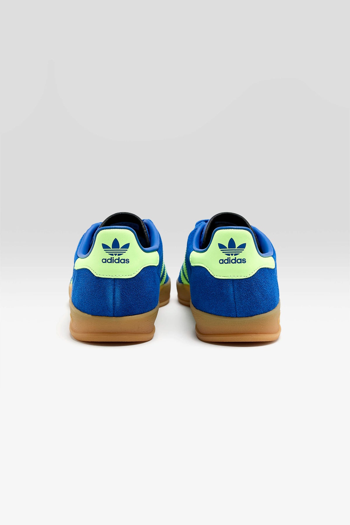 Gazelle Indoor for Juniors (262 / B / BLUE)