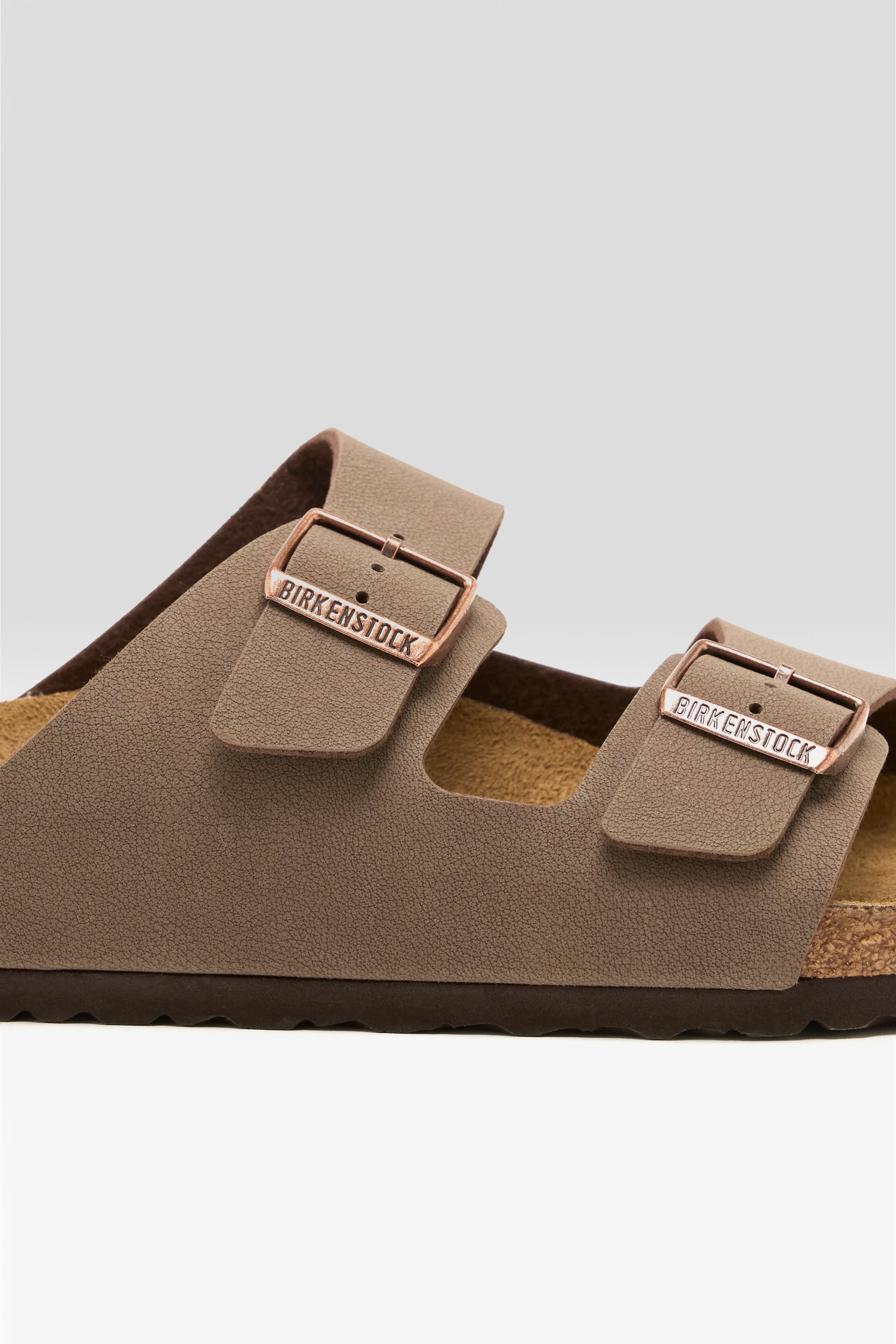 Arizona Birkibuc voor Mannen (241 / M / MOCCA)