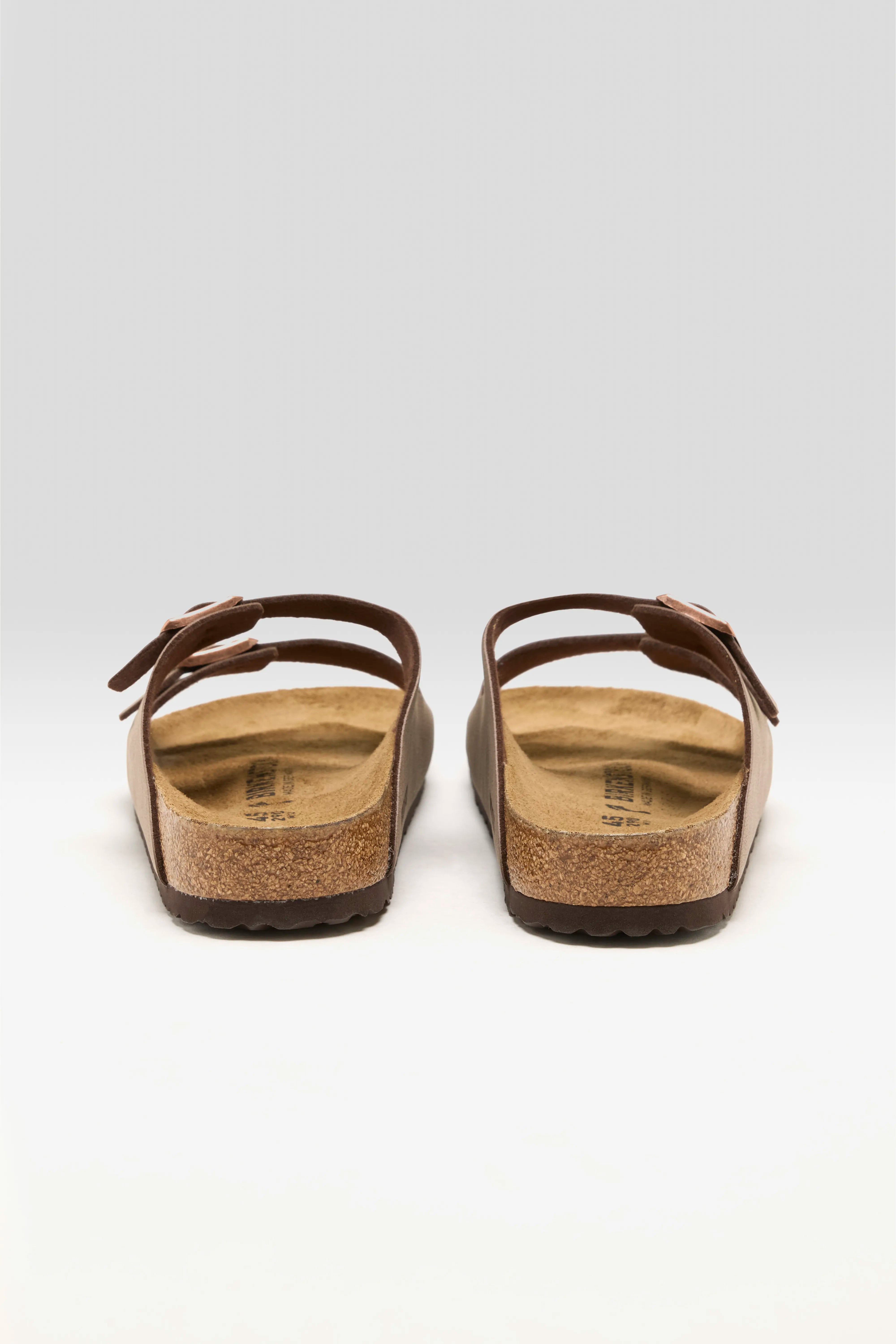 Arizona Birkibuc voor Mannen (241 / M / MOCCA)