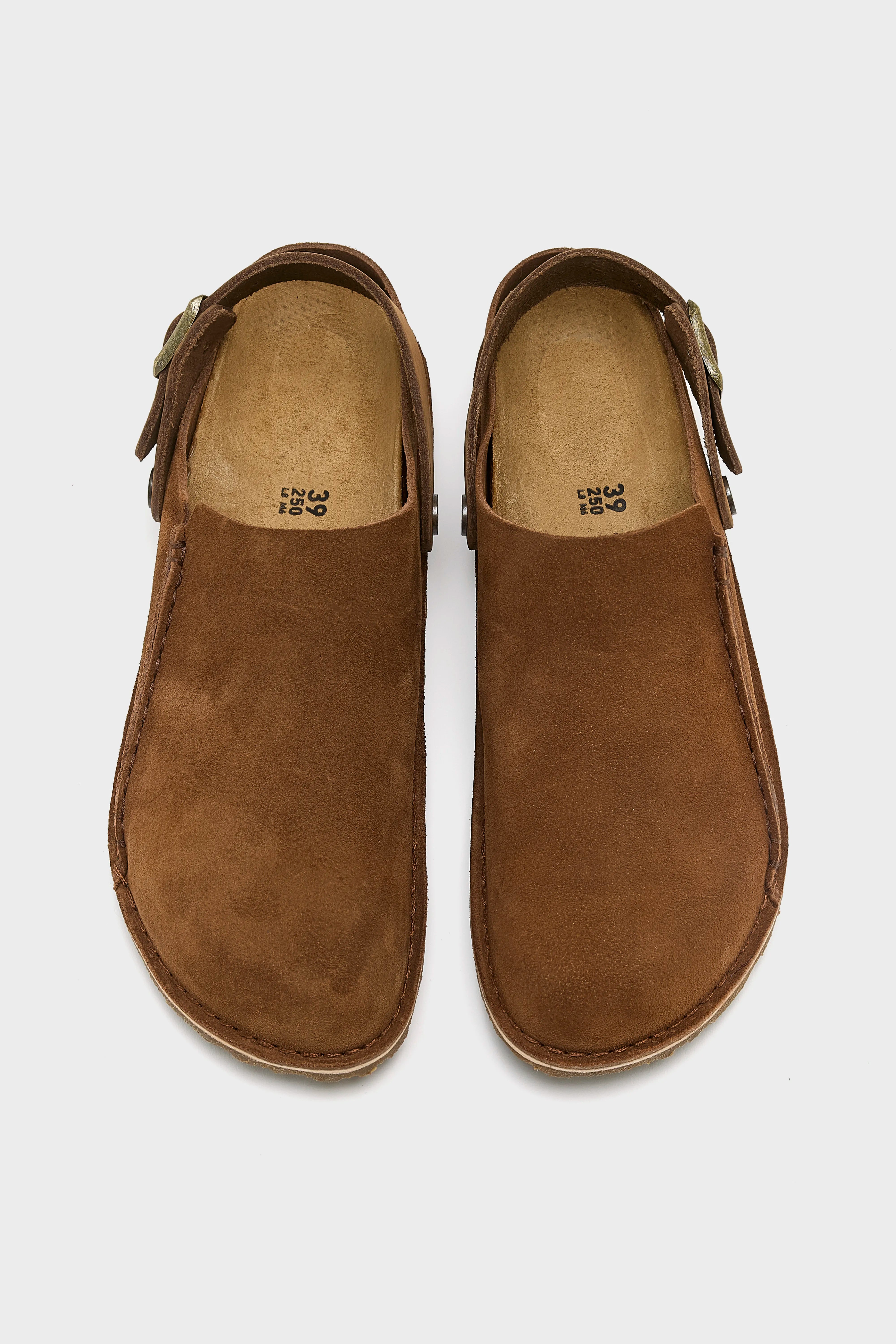 Lutry Premium Suede pour Femmes  (252 / W / BROWN)