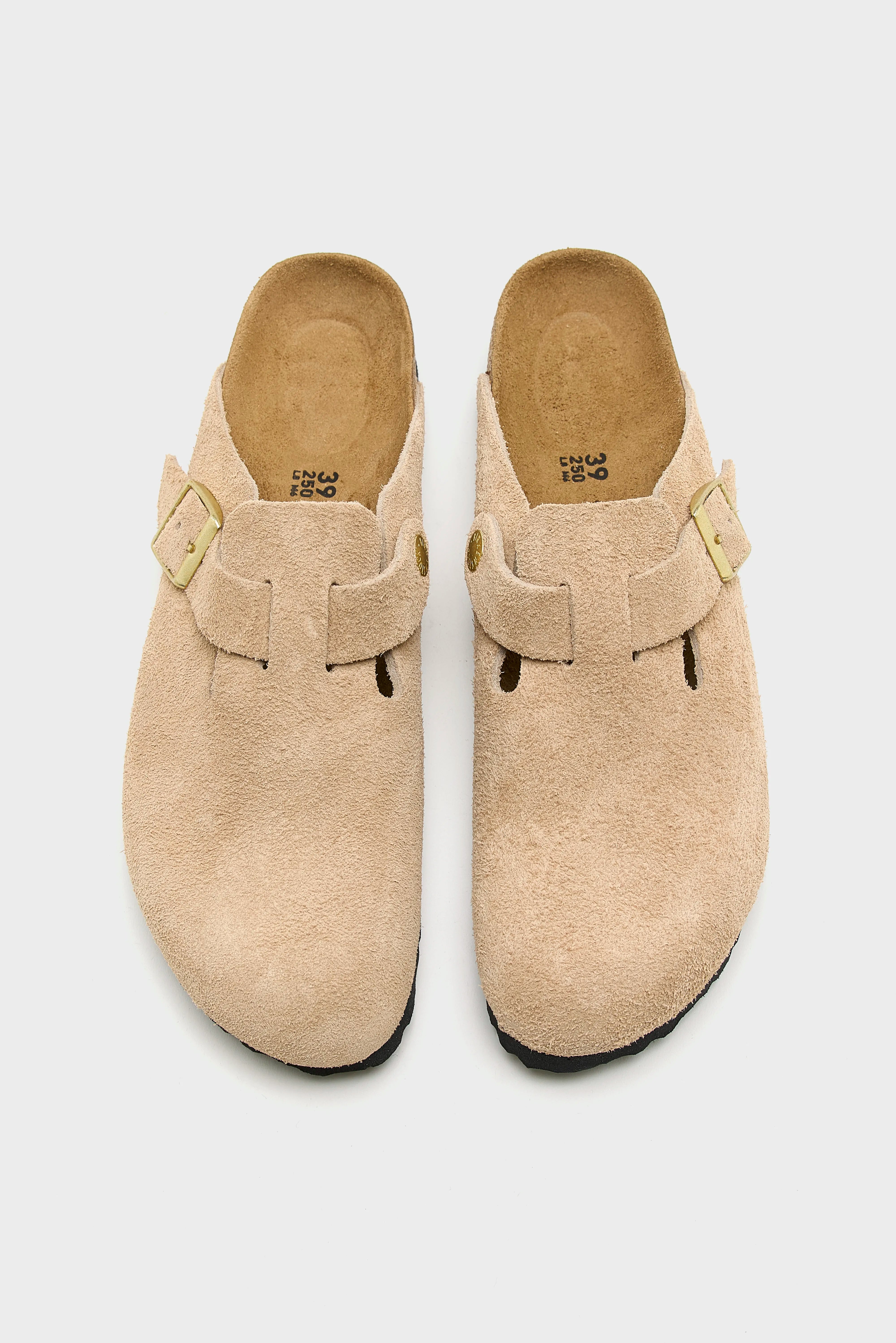 Boston BS Suede pour Femmes  (252 / M / BEIGE)