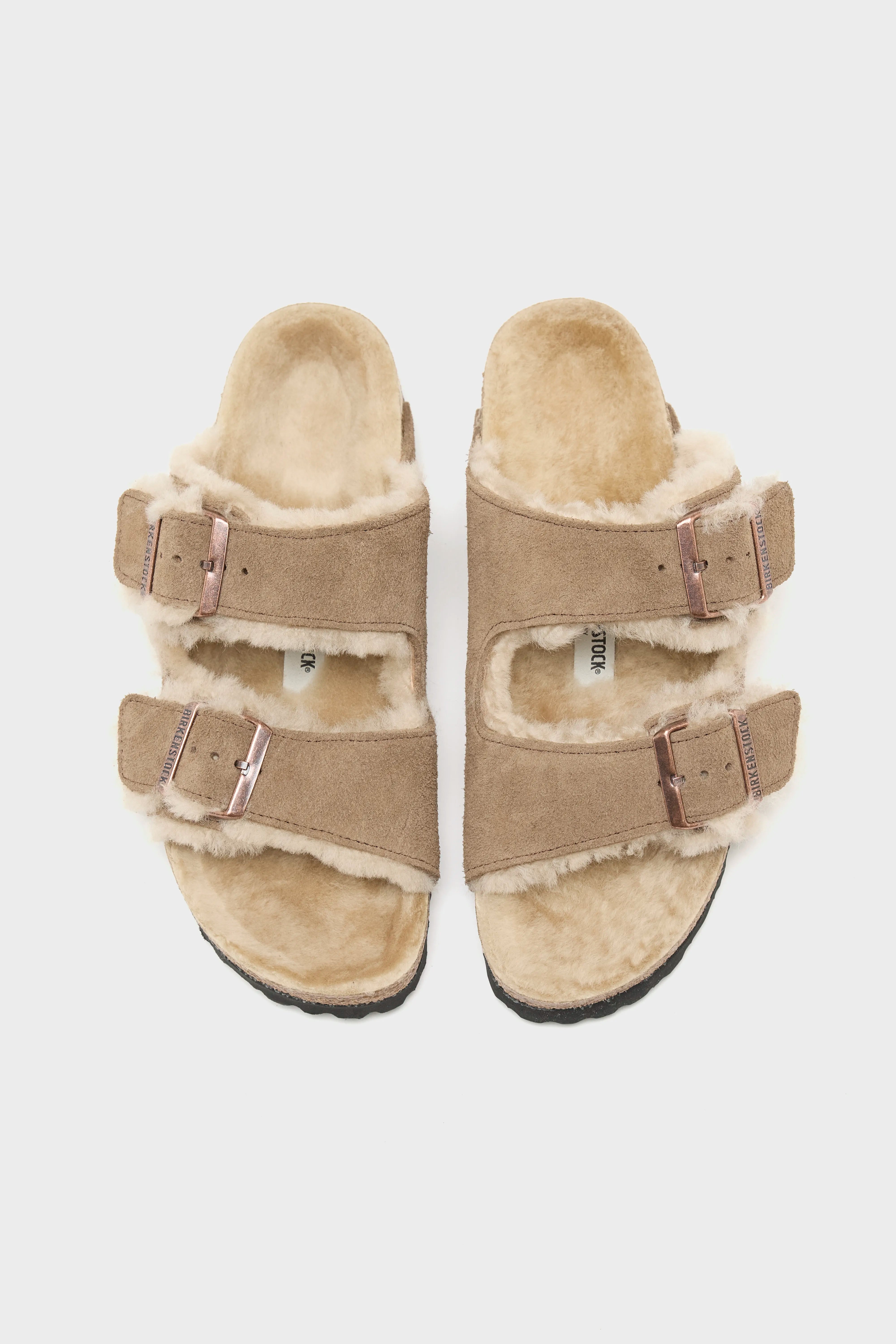 Arizona Shearling for Women (262 / W / BROWN)