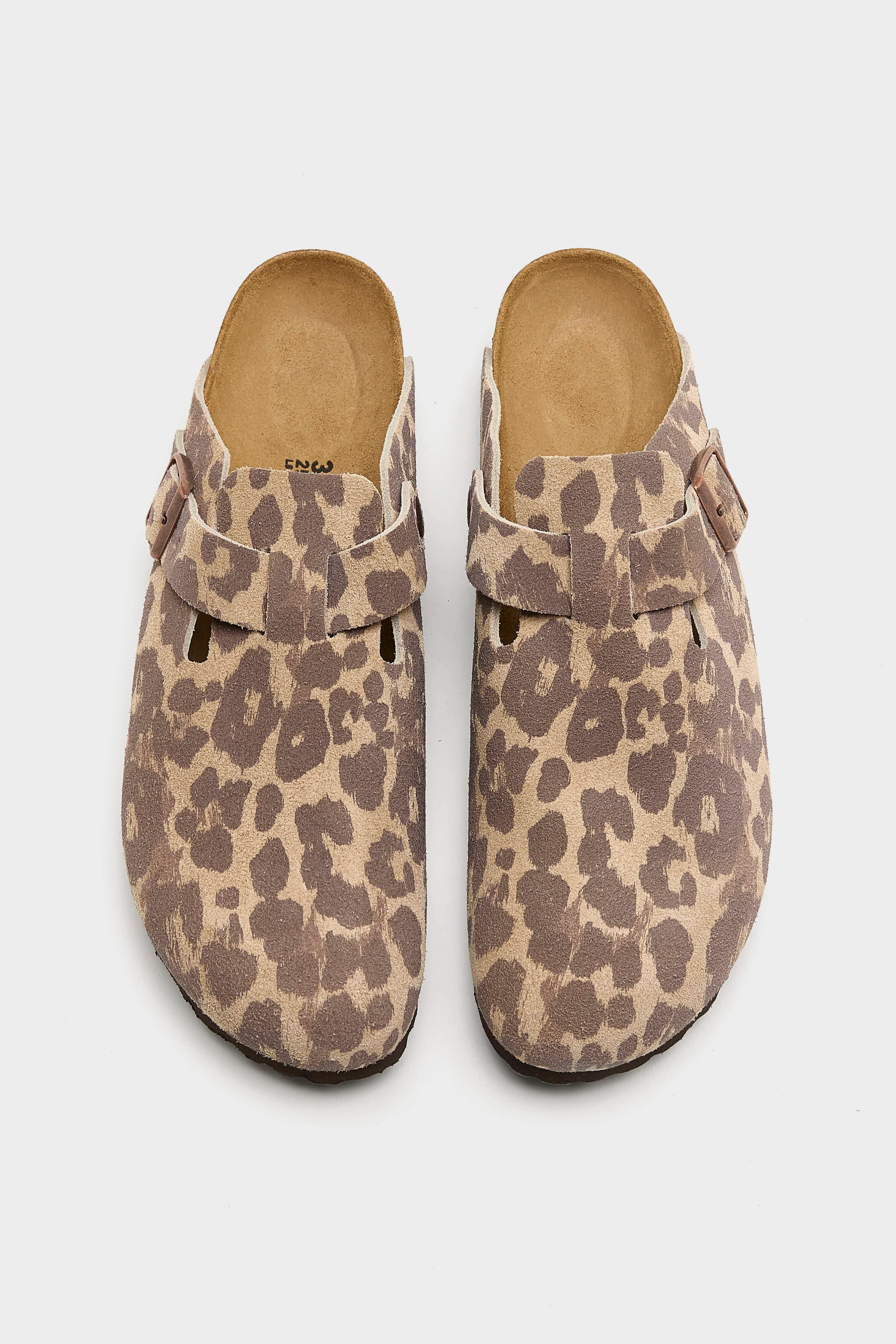 Boston Leopard voor Dames (262 / W / BEIGE)