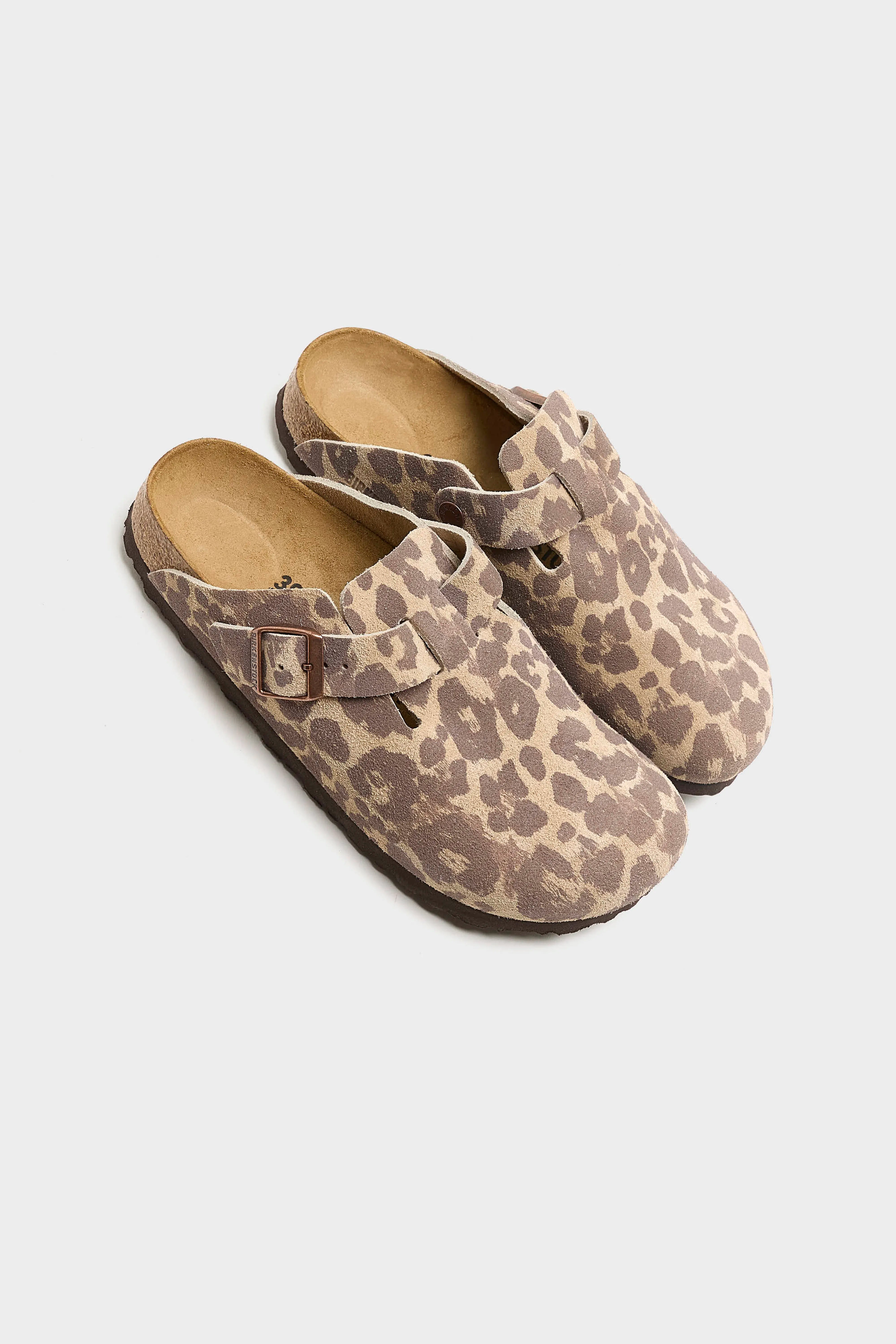 Boston Leopard voor Dames (262 / W / BEIGE)