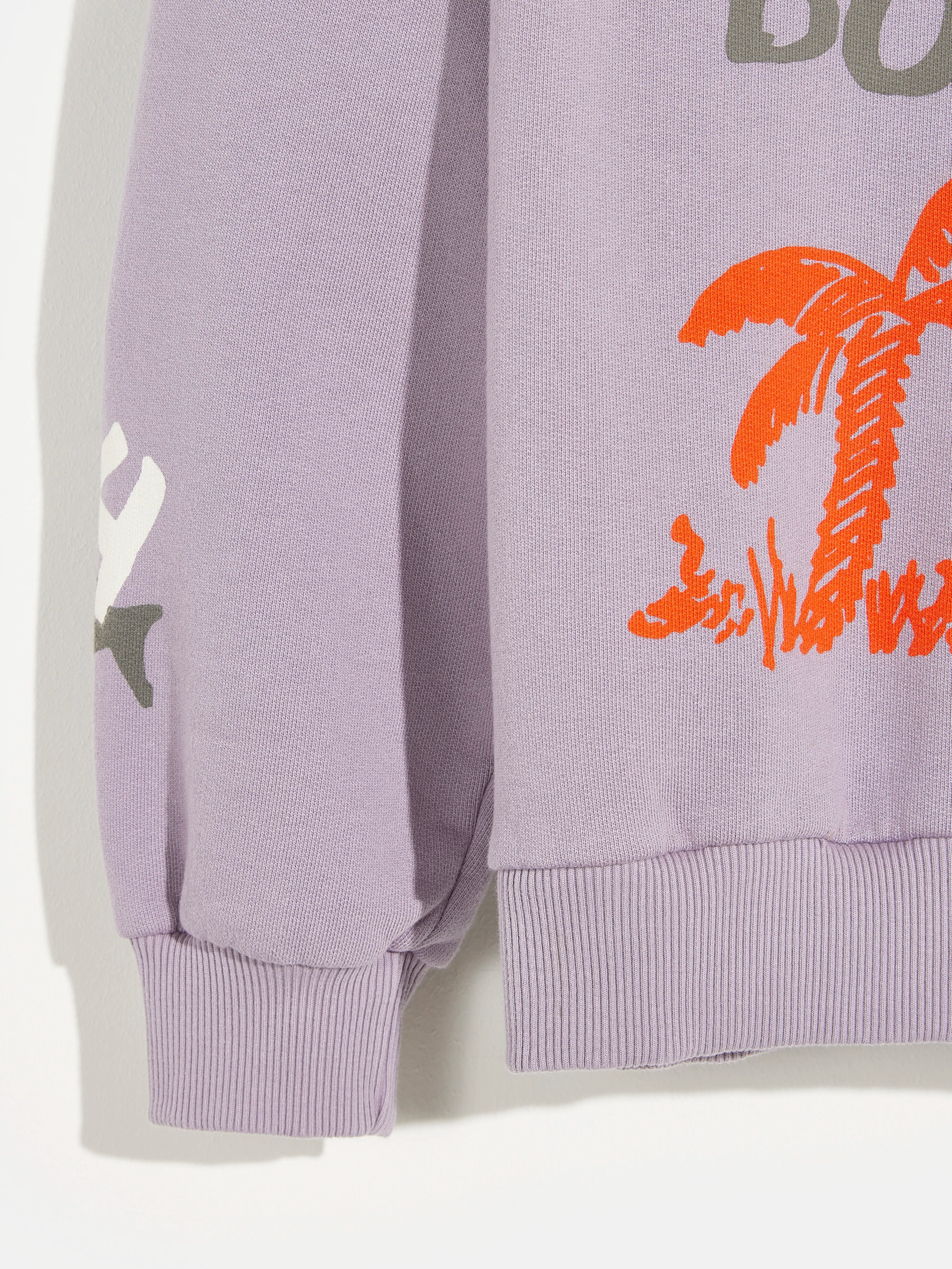 chami sweatshirt (241 / B / ASHES)