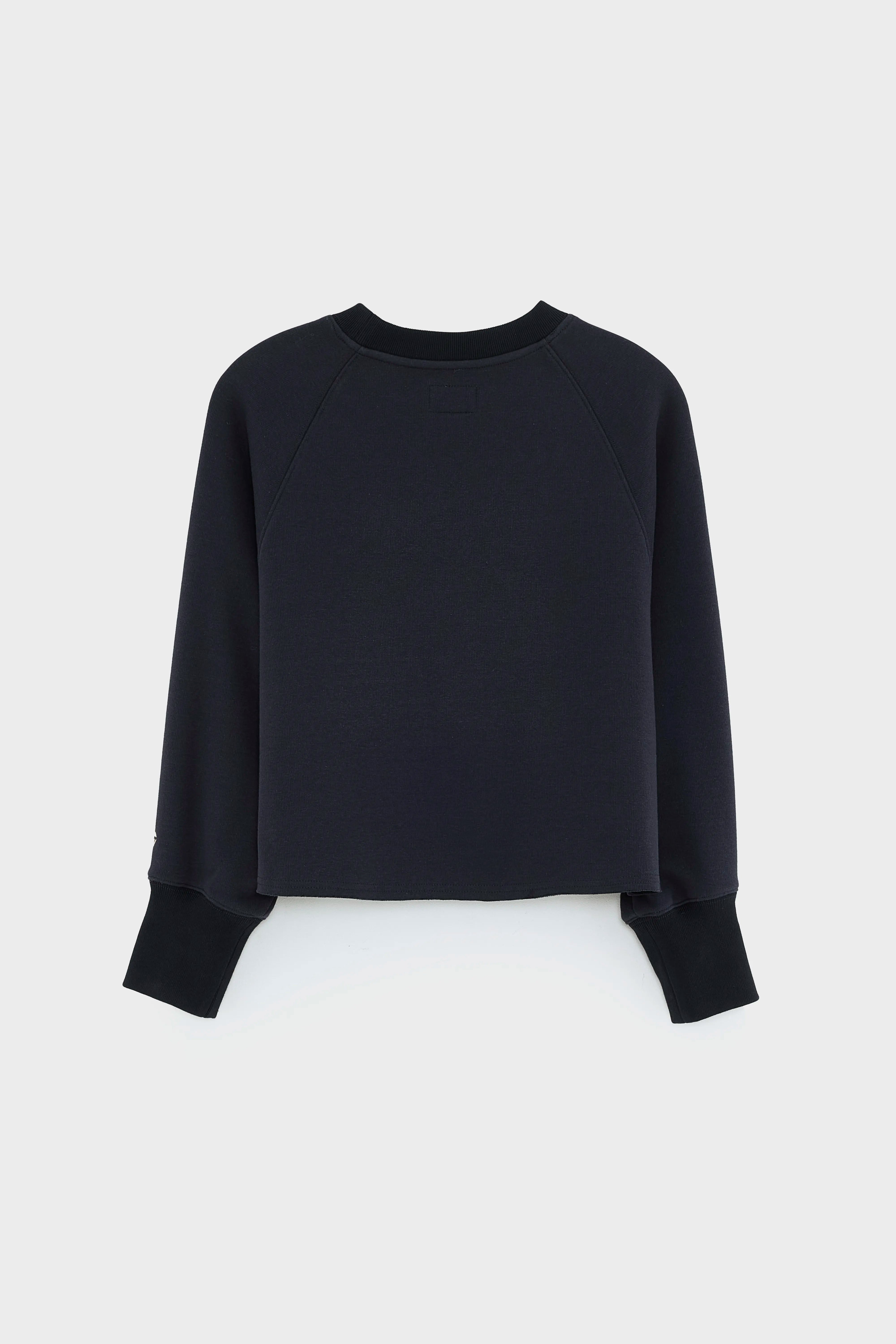 Fabina cropped sweatshirt (252 / G / AMERICA)