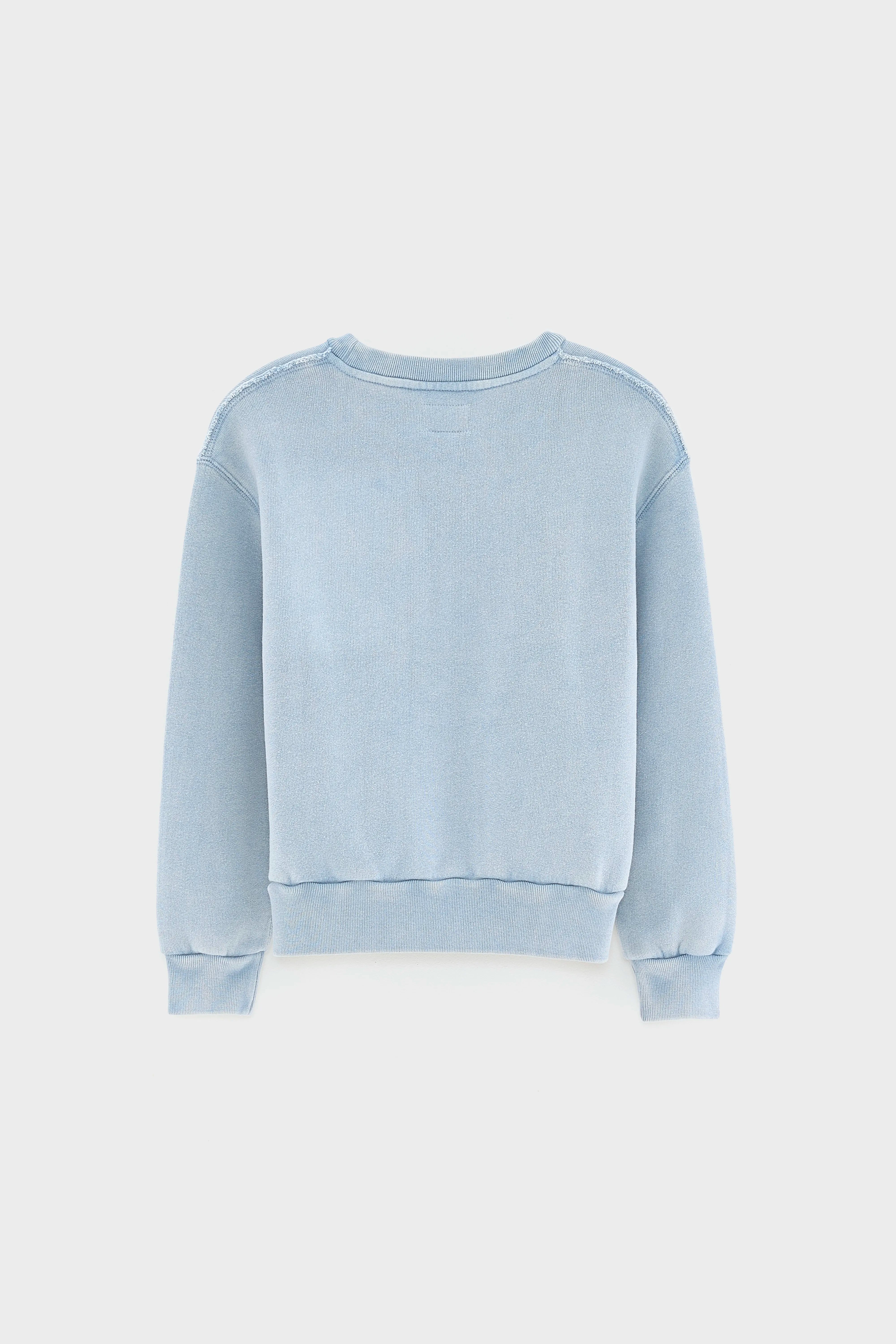 Fanzi sweatshirt met ronde hals (252 / G / CHAMBRAY)