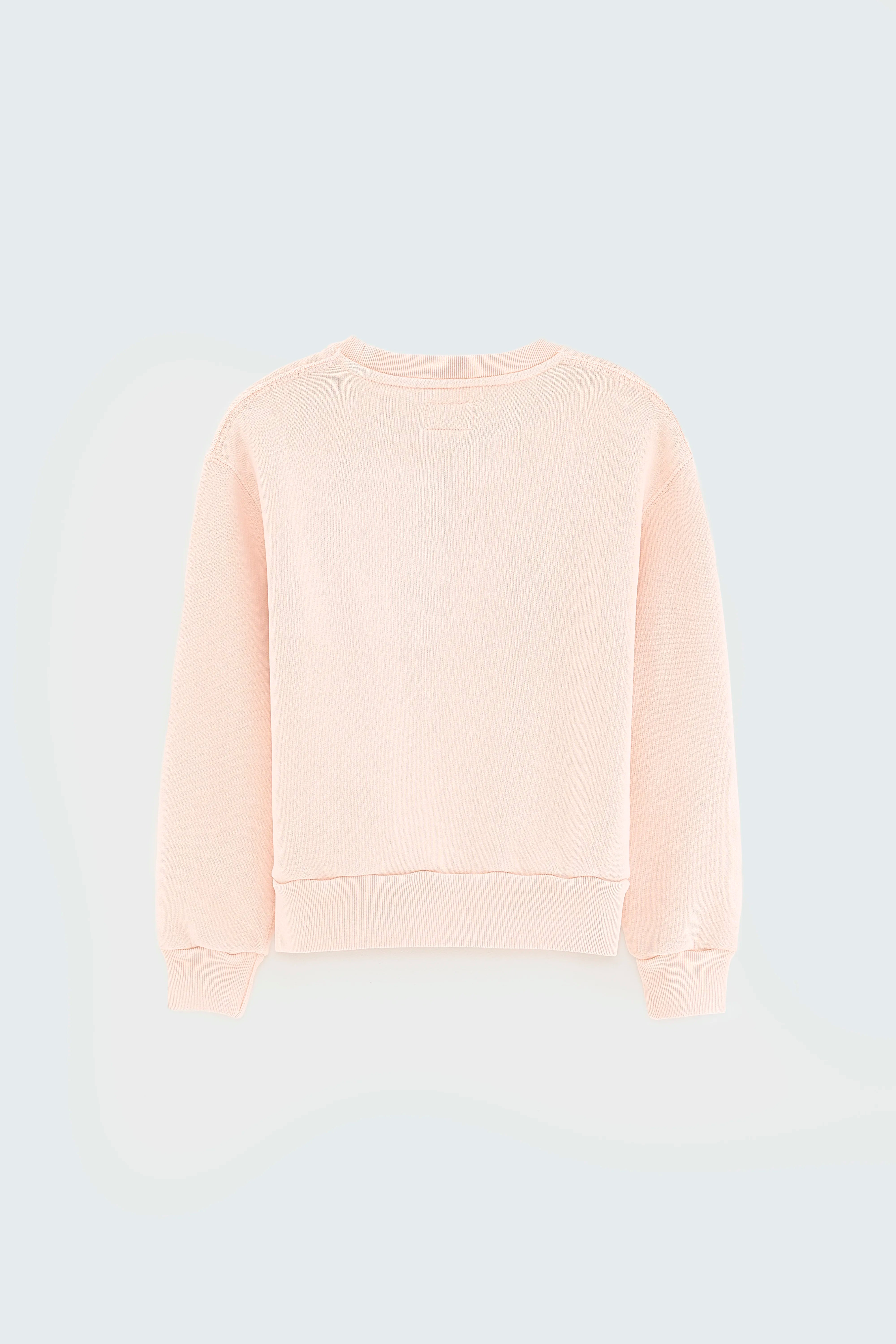 Fanzi sweatshirt met ronde hals (252 / G / ROSIE)