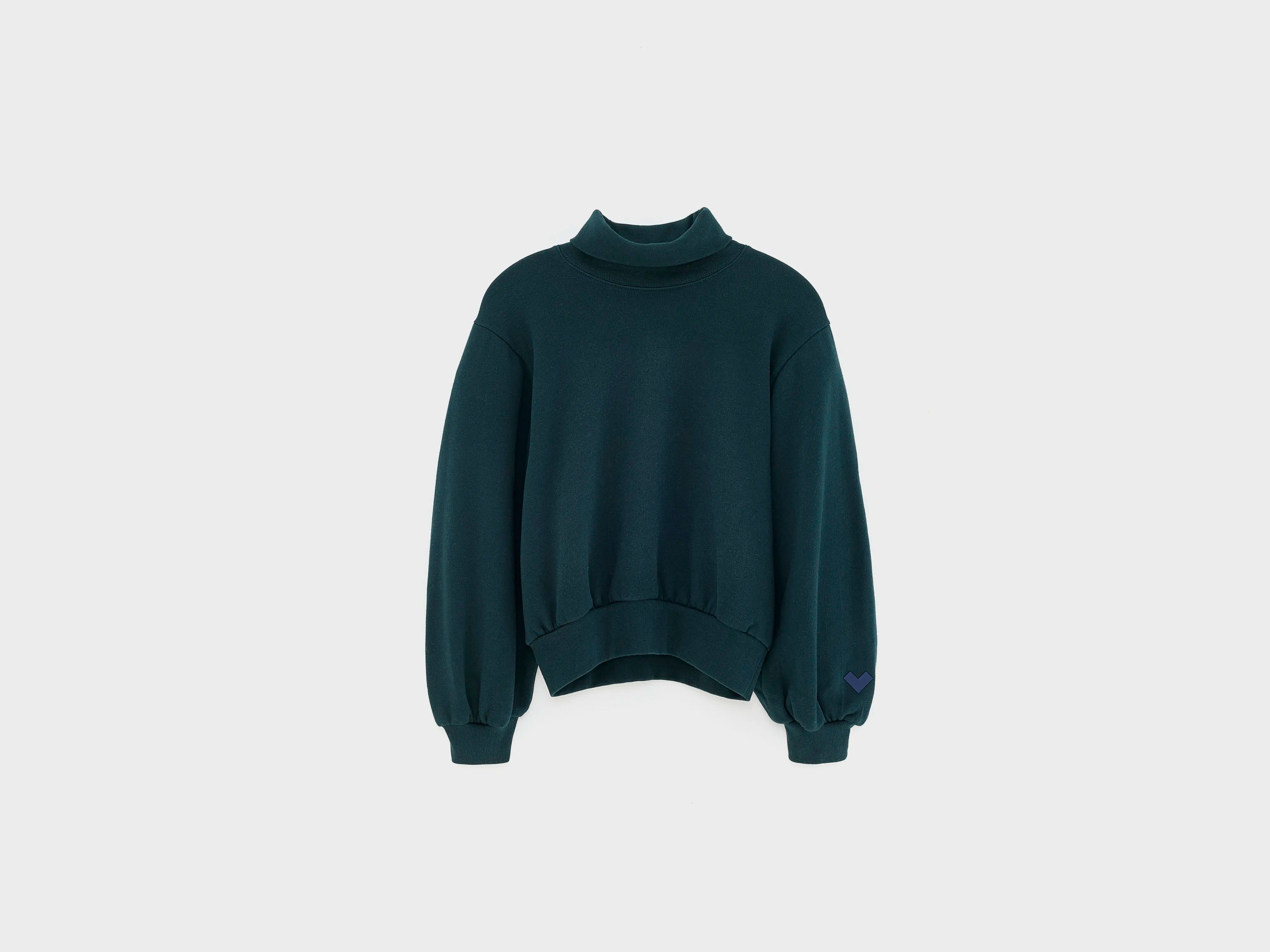Sweatshirt classique Fagov (252 / G / SCARABEE)