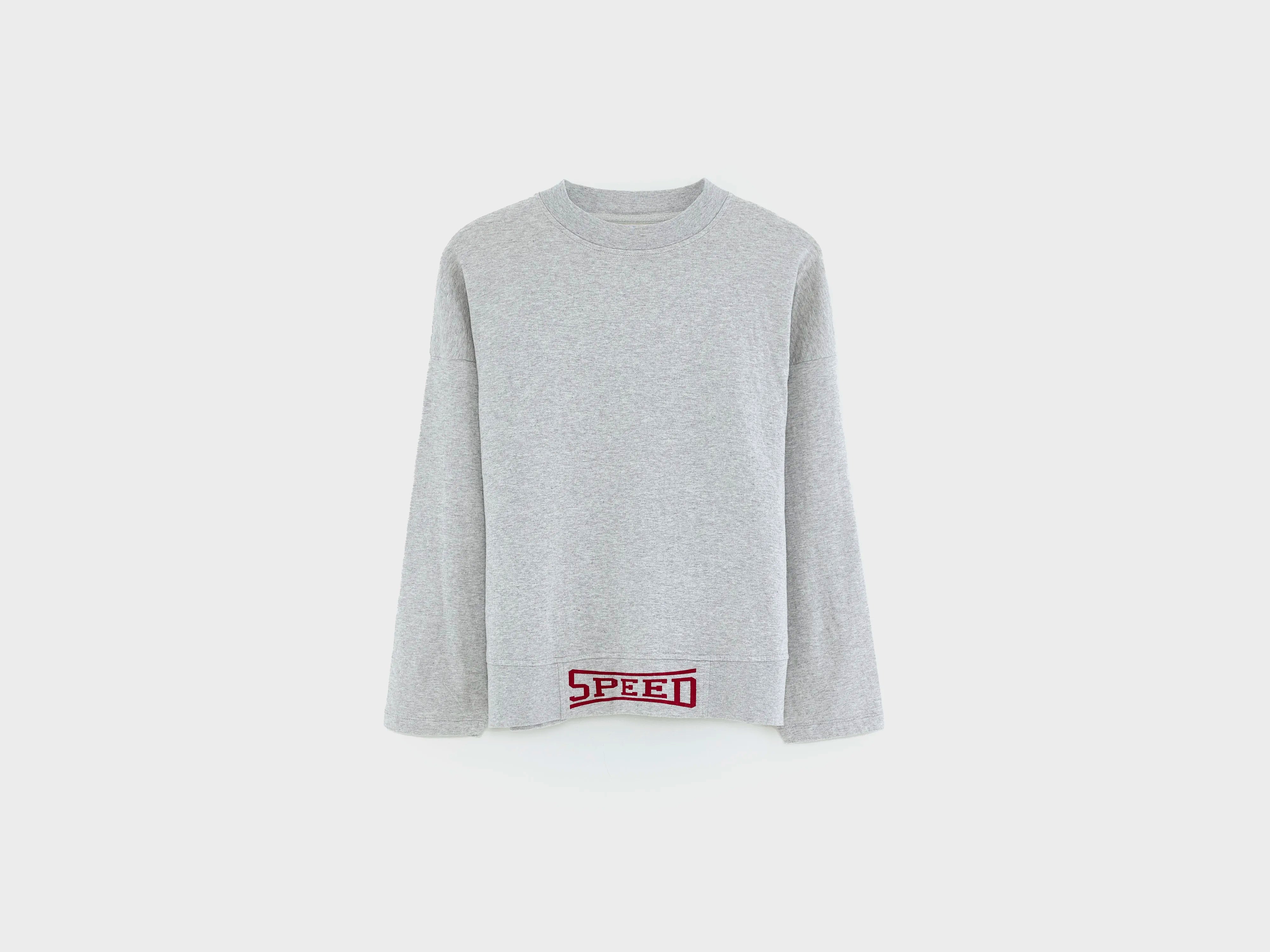 Chengy relaxed t-shirt (252 / B / H. GREY)