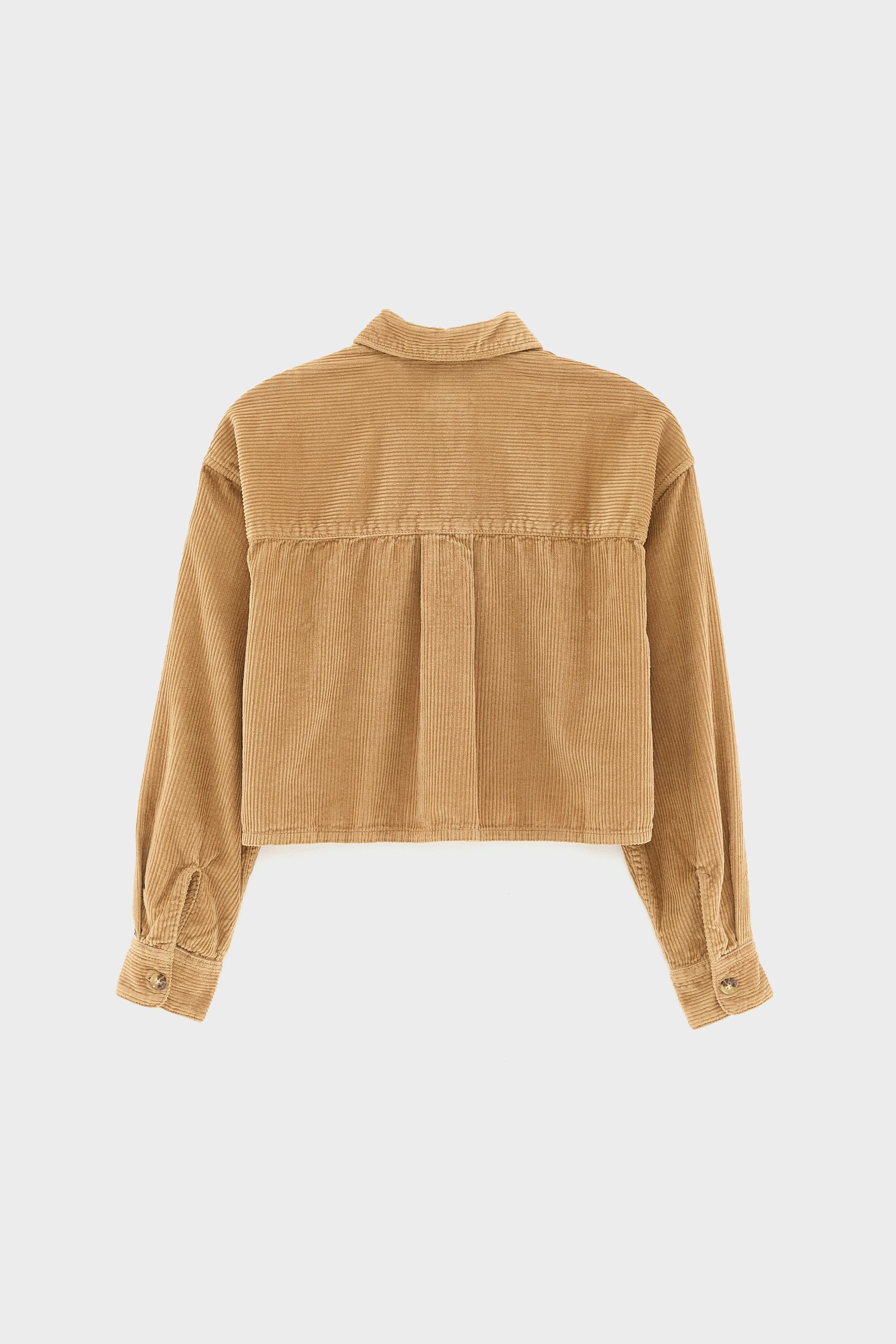 Wiggle boxy shirt (252 / G / TOFFEE)