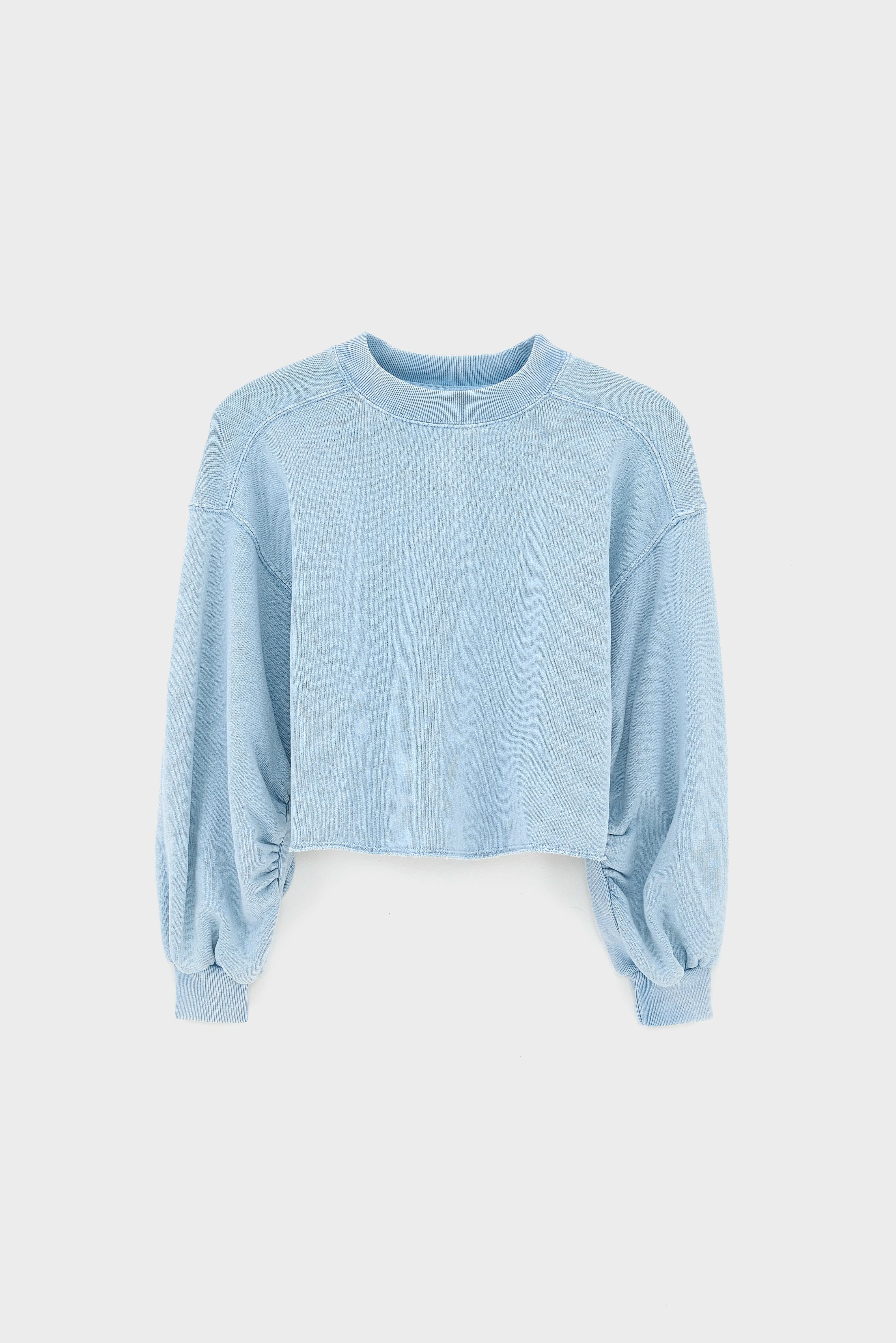 Frante cropped sweatshirt (261 / G / NIRVANA)