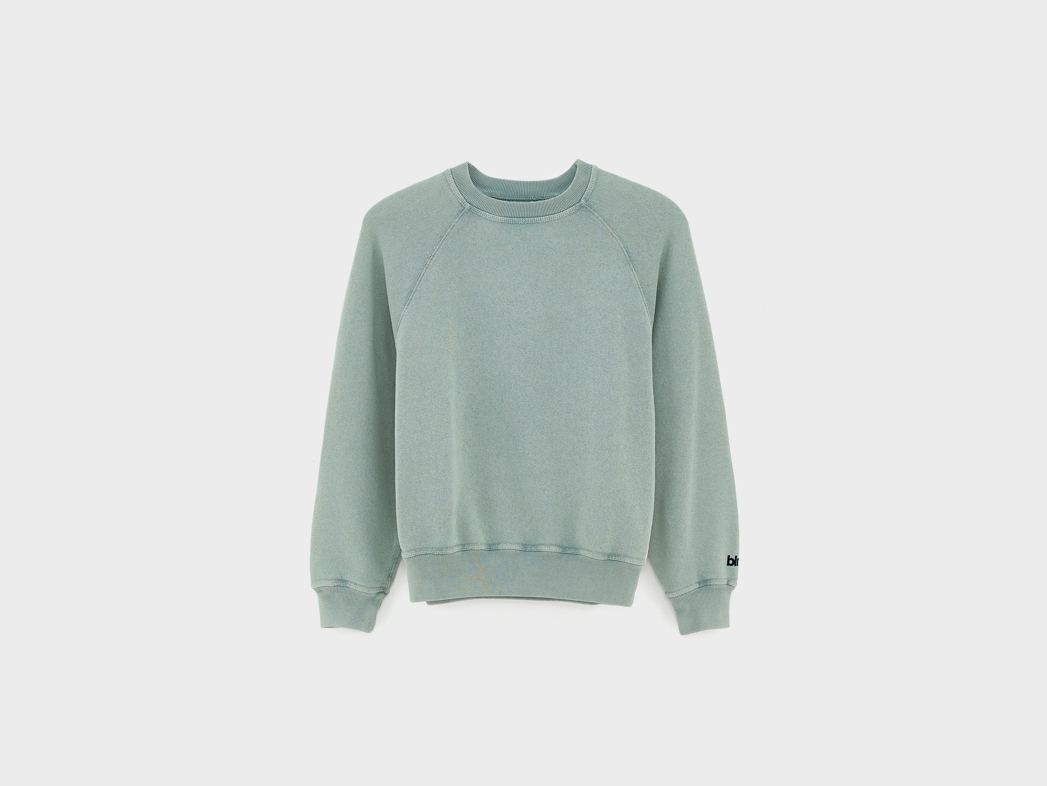 Fagolo sweatshirt met ronde hals (261 / B / LIMESTONE)