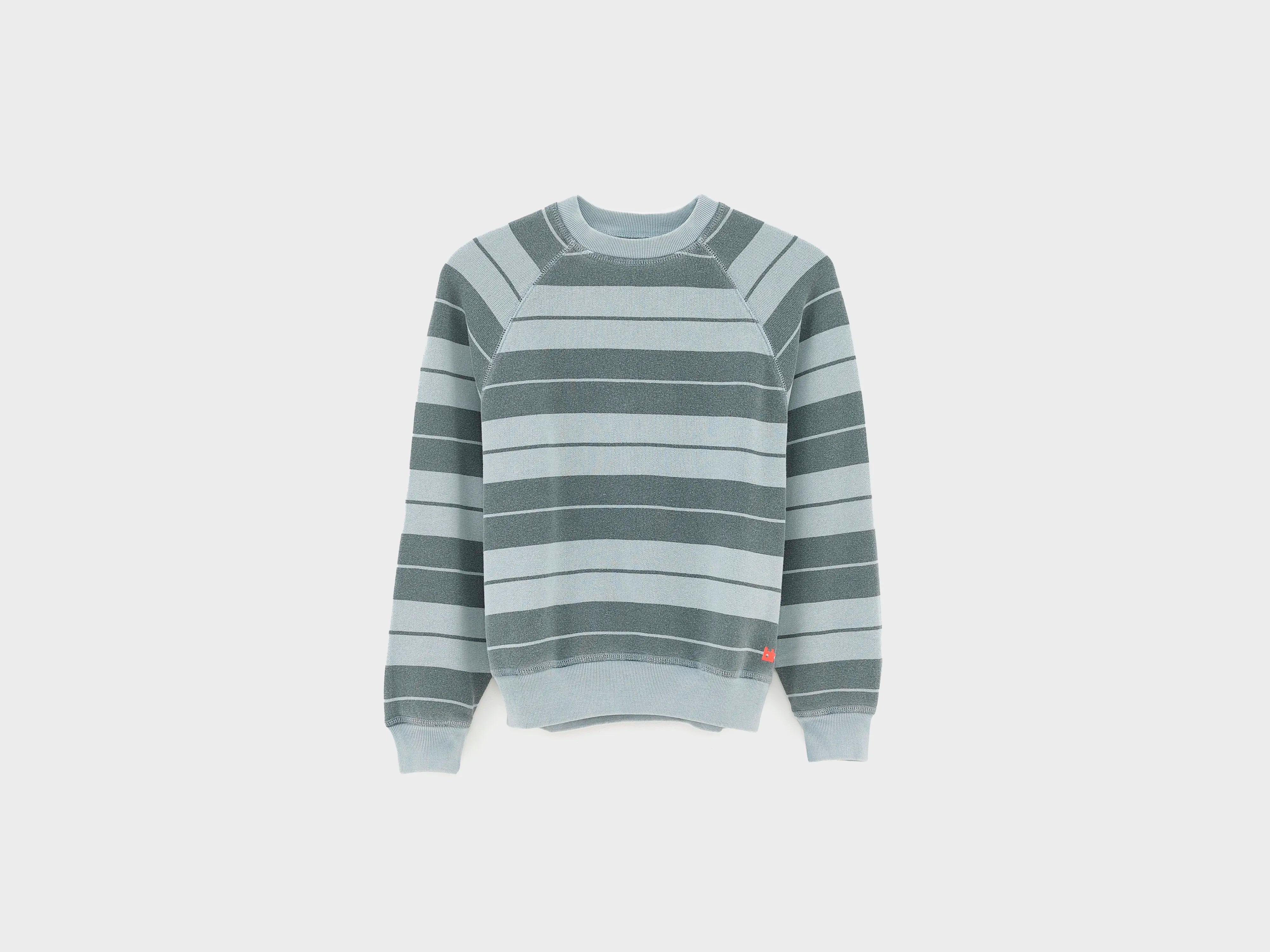 Fagolo sweatshirt met ronde hals (261 / B / STRIPE B)