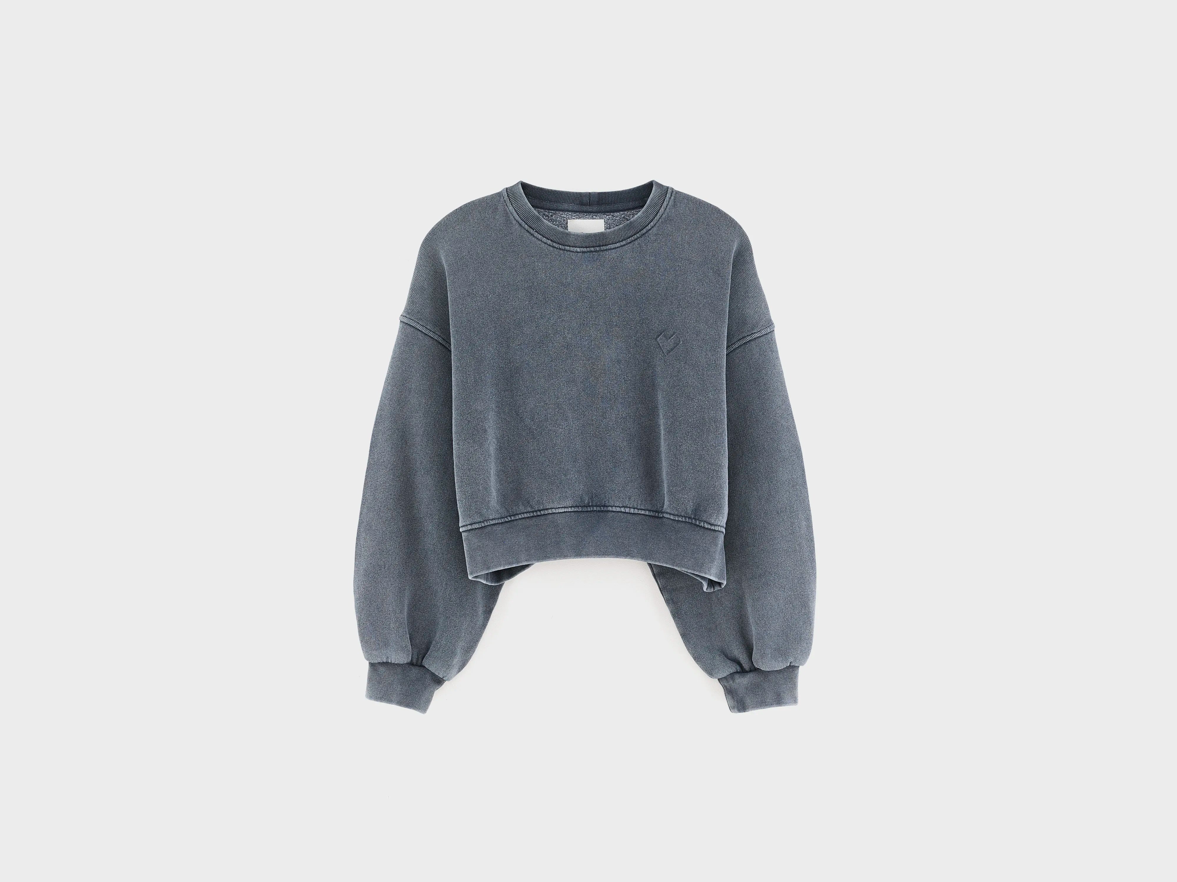 Fenya cropped sweatshirt (262 / G / BLACK BLUE)