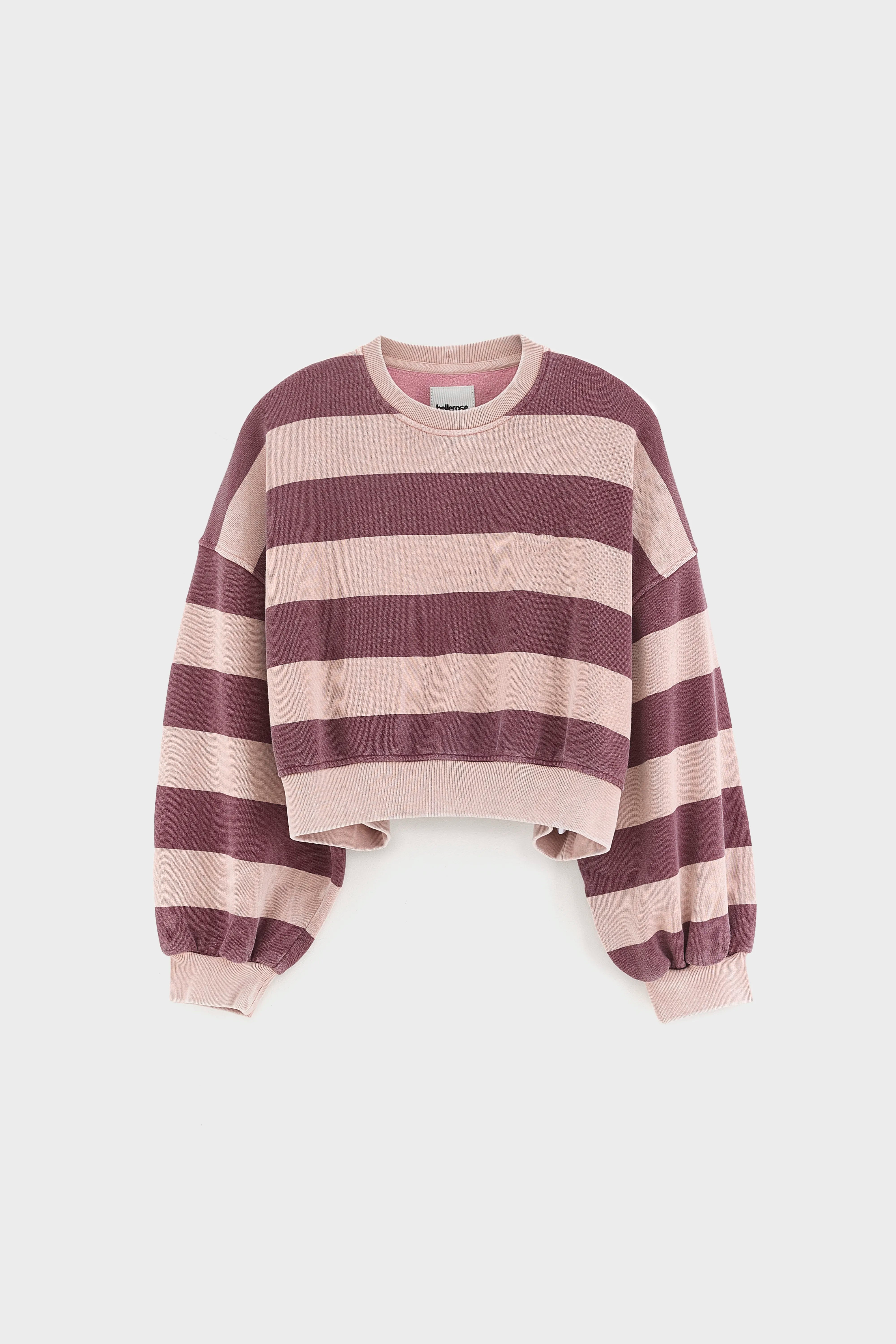 Fenya gestreept sweatshirt (262 / G / STRIPE C)