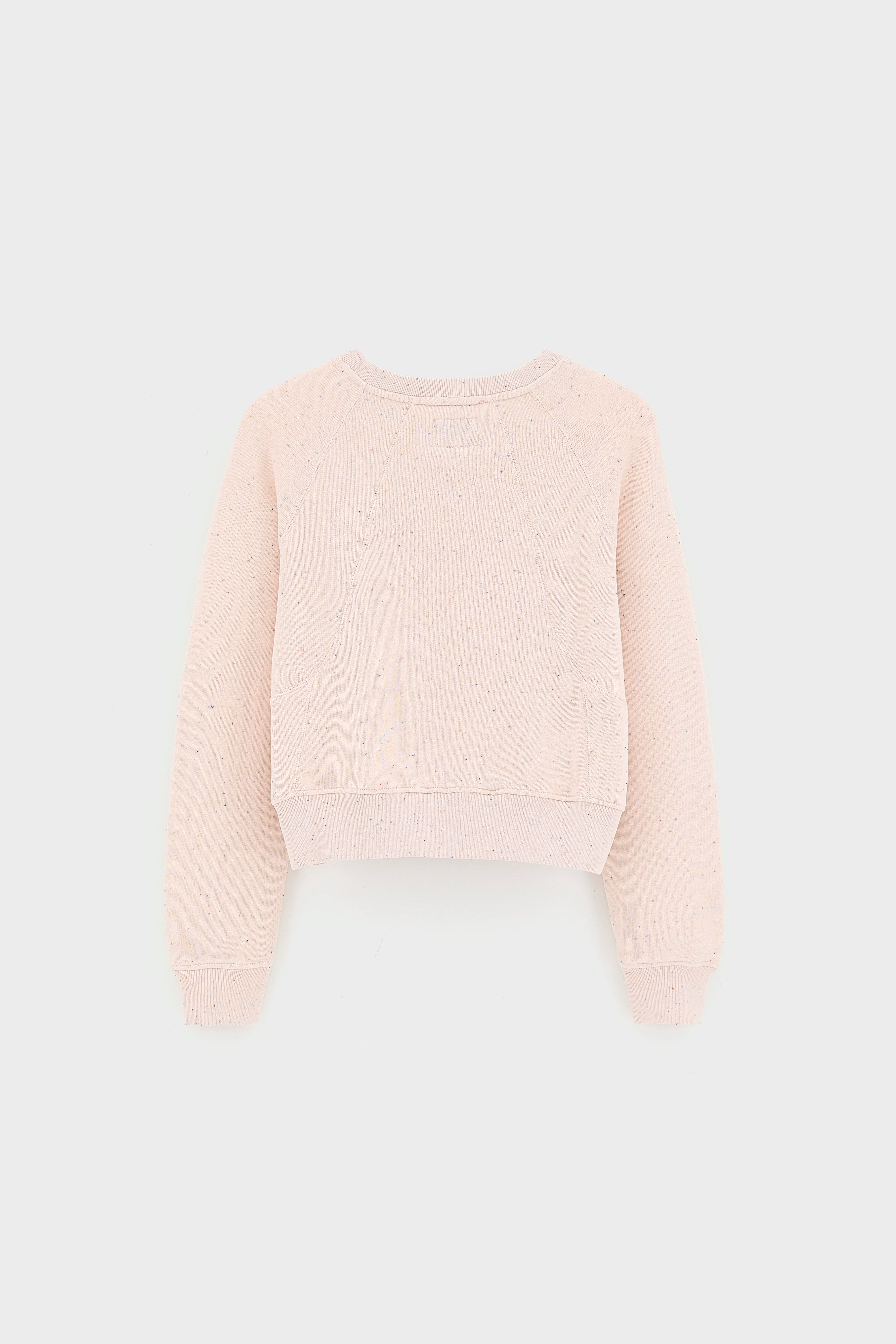 Fengo crewneck sweatshirt (262 / G / COMBO A)