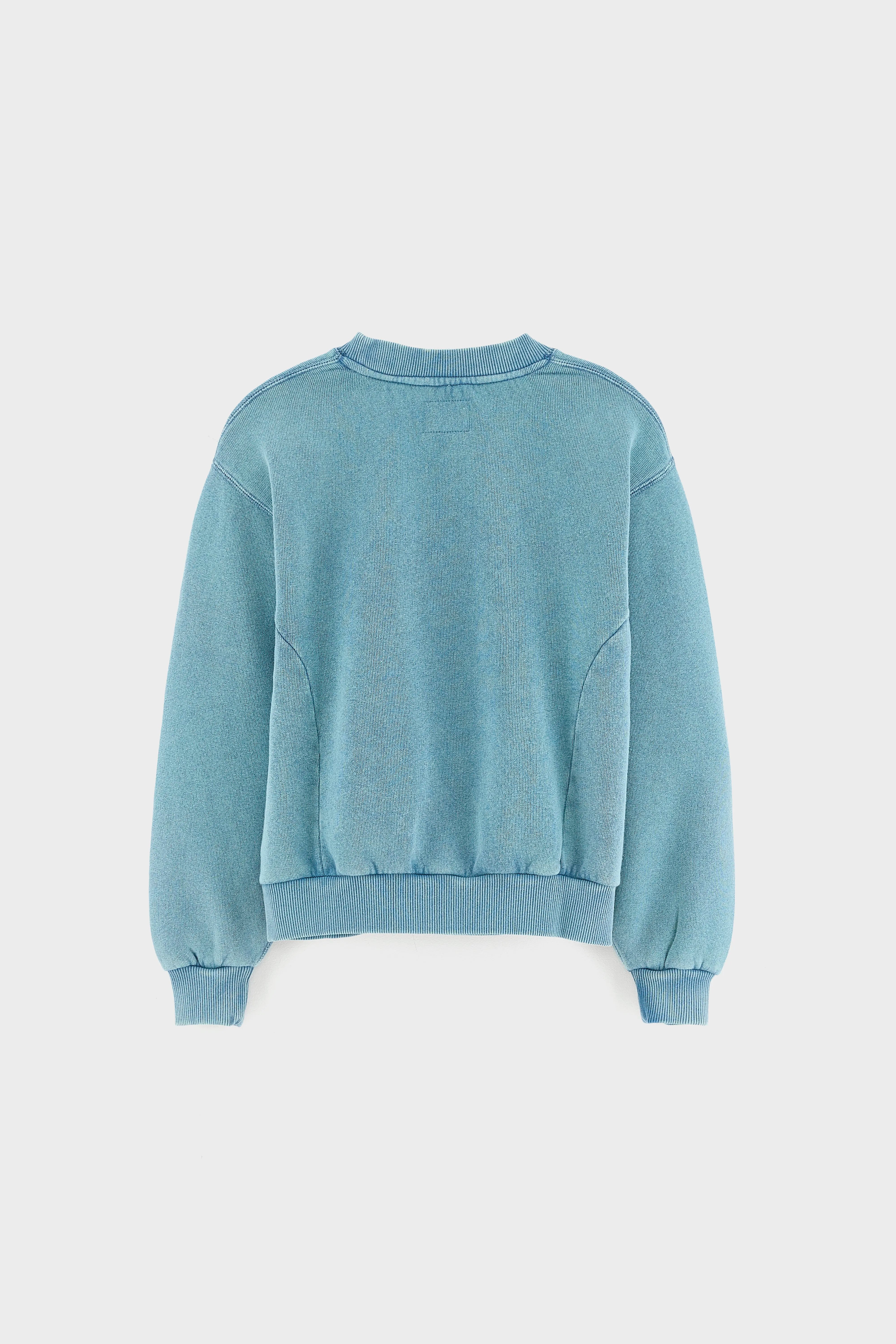 Fadopo crewneck sweatshirt (262 / G / BLUE EYES)